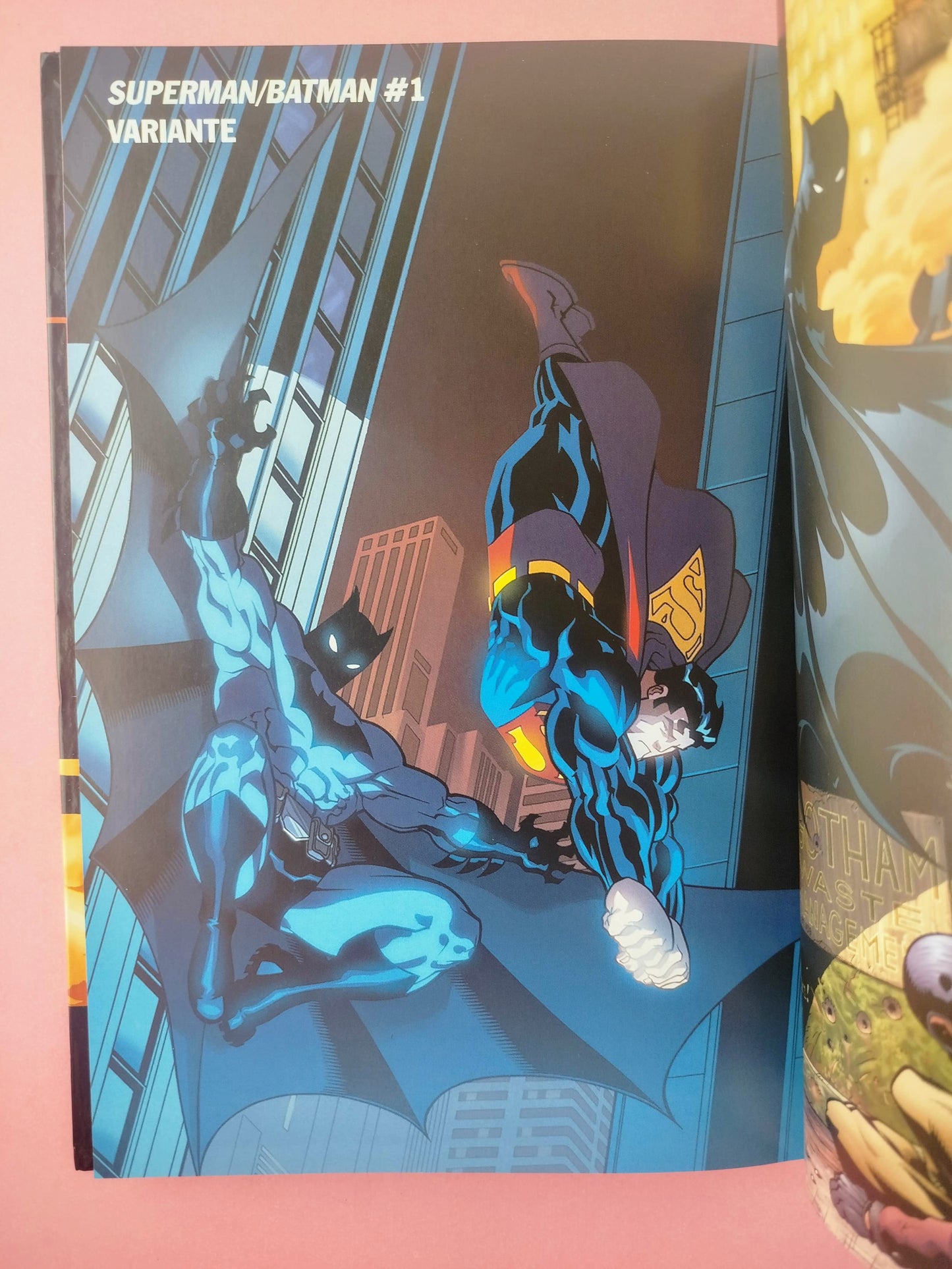 Superman Batman: Enemigos públicos Volumen 5