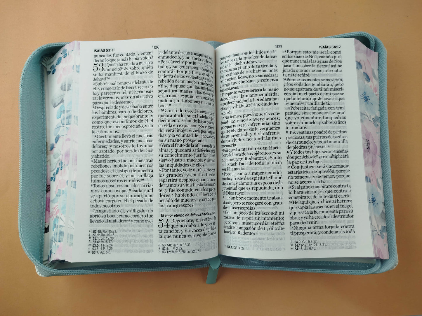 Biblia rvr 1960 colección primaveral letra grande azul claro con cierre