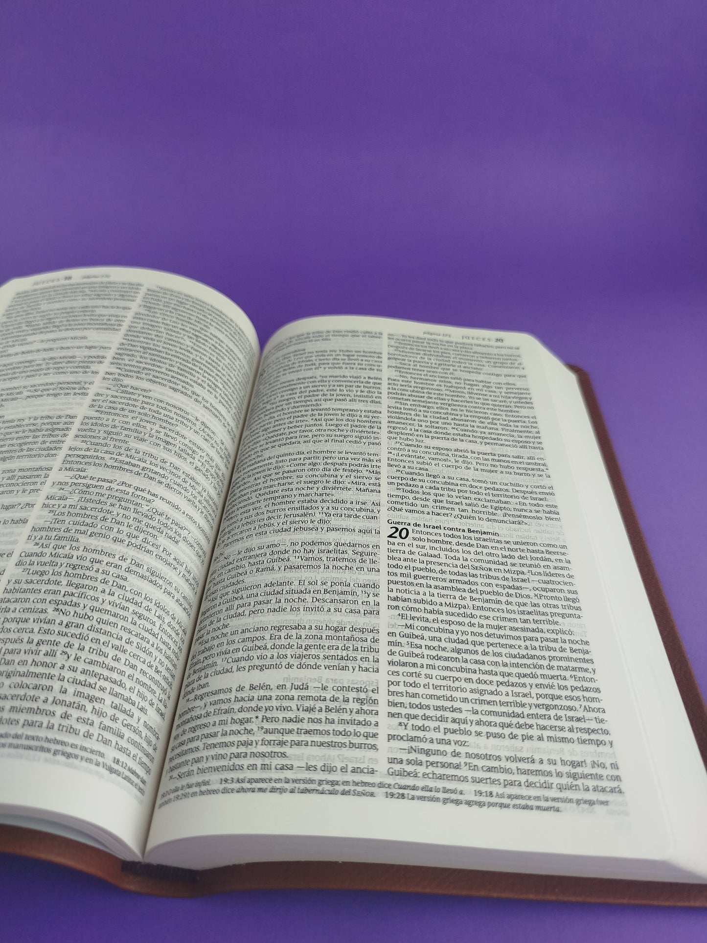 Biblia ntv ágape sentipiel café by Nueva Traducción Viviente
