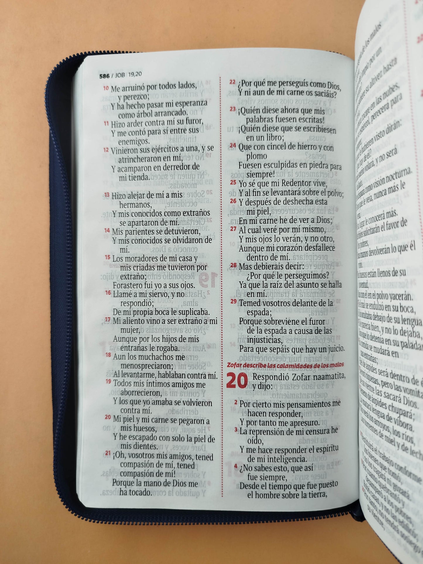 Biblia rvr letra grande azul borde plateado