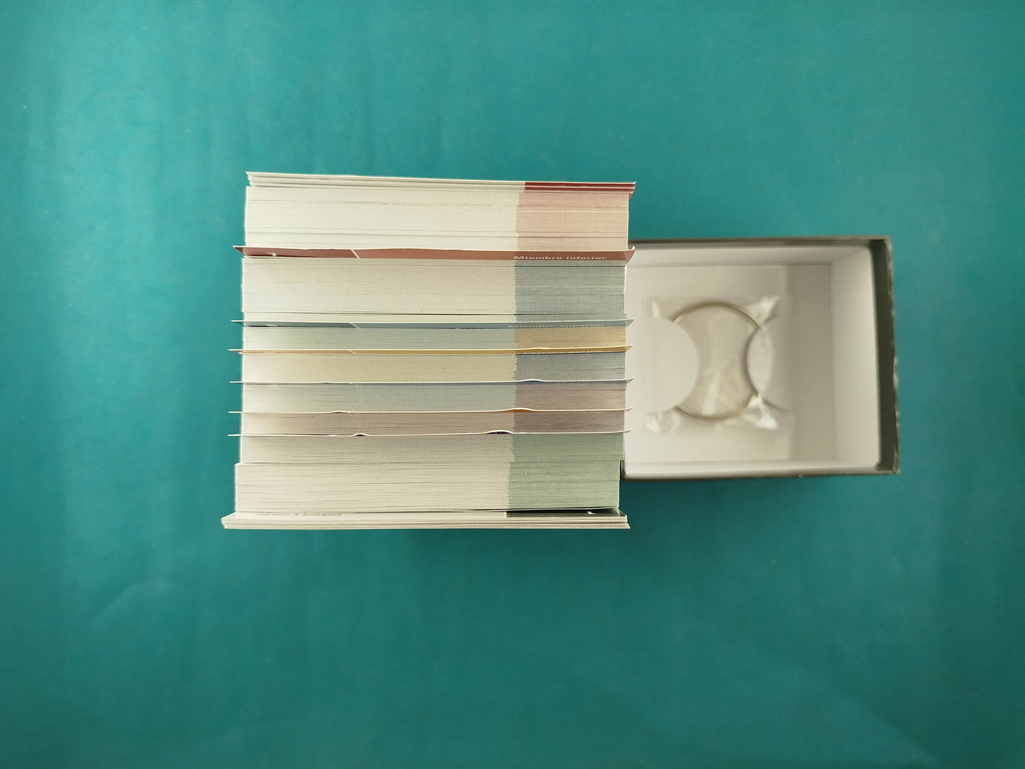 Netter Flashcards de anatomía 6ta ed