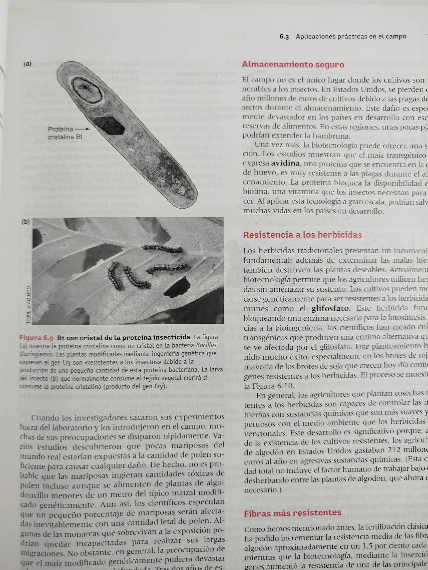 Introducción a la biotecnología by William J Thieman