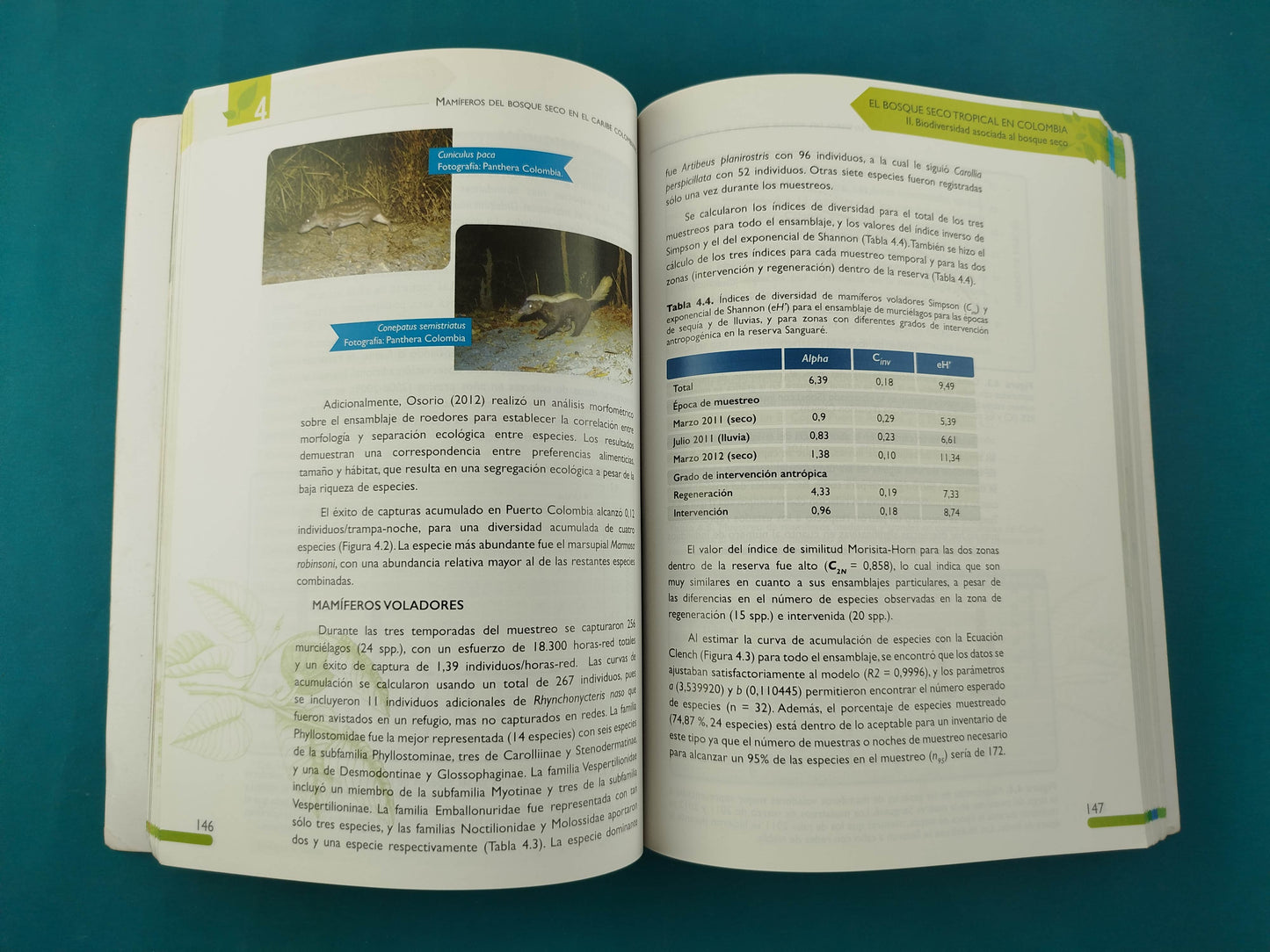 el bosque seco tropical en colombia