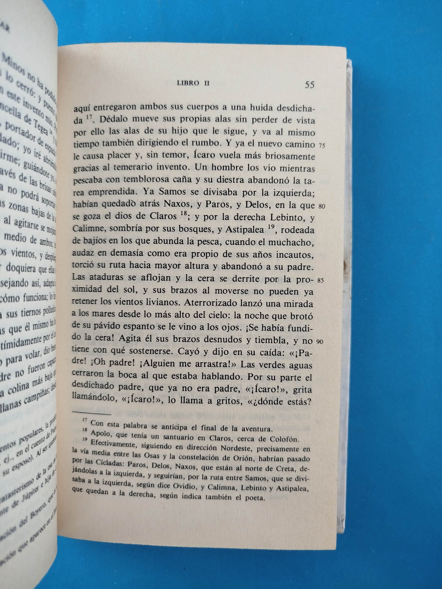 Arte de amar. Amores