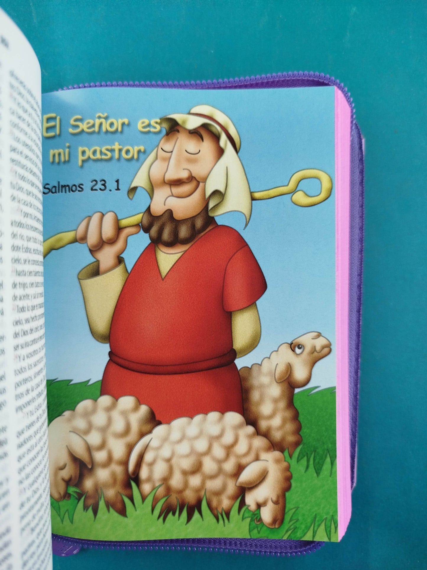 Biblia amigos por siempre rosado con estuche