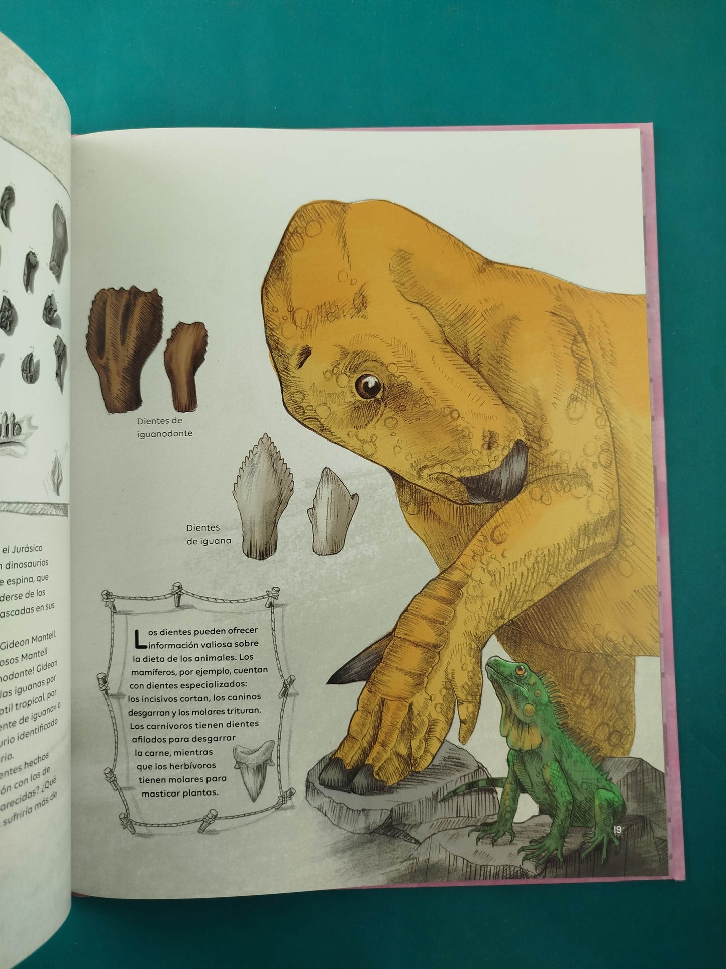 Dinosaurios Una travesía cretácica