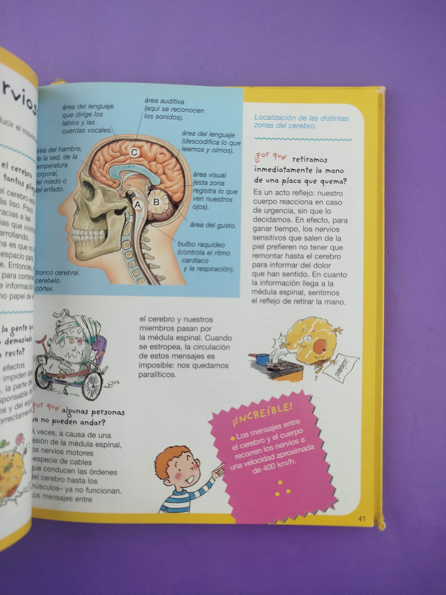 Diccionario por qué cómo: Para responder las preguntas de los niños el cuerpo