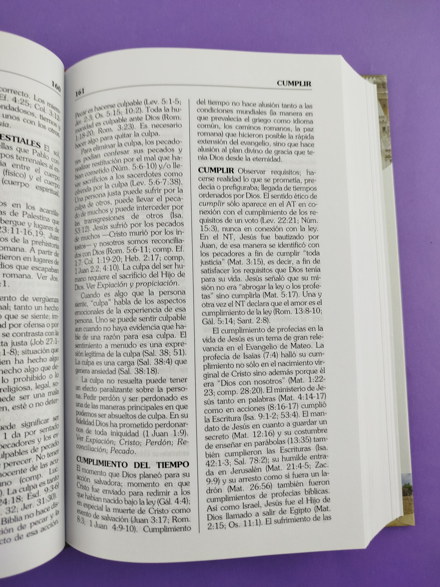 Diccionario bíblico conciso holman