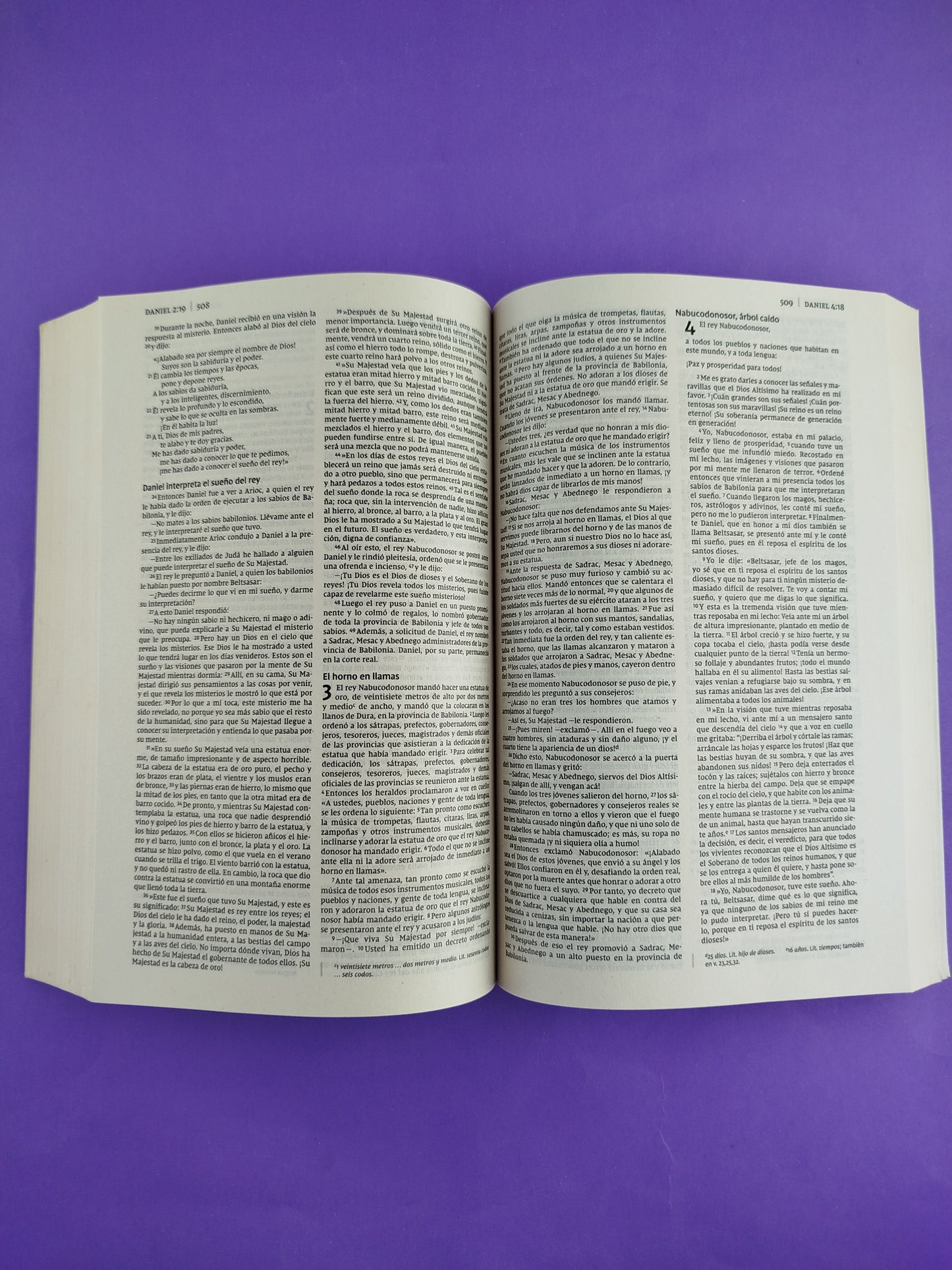 Biblia nvi misionera