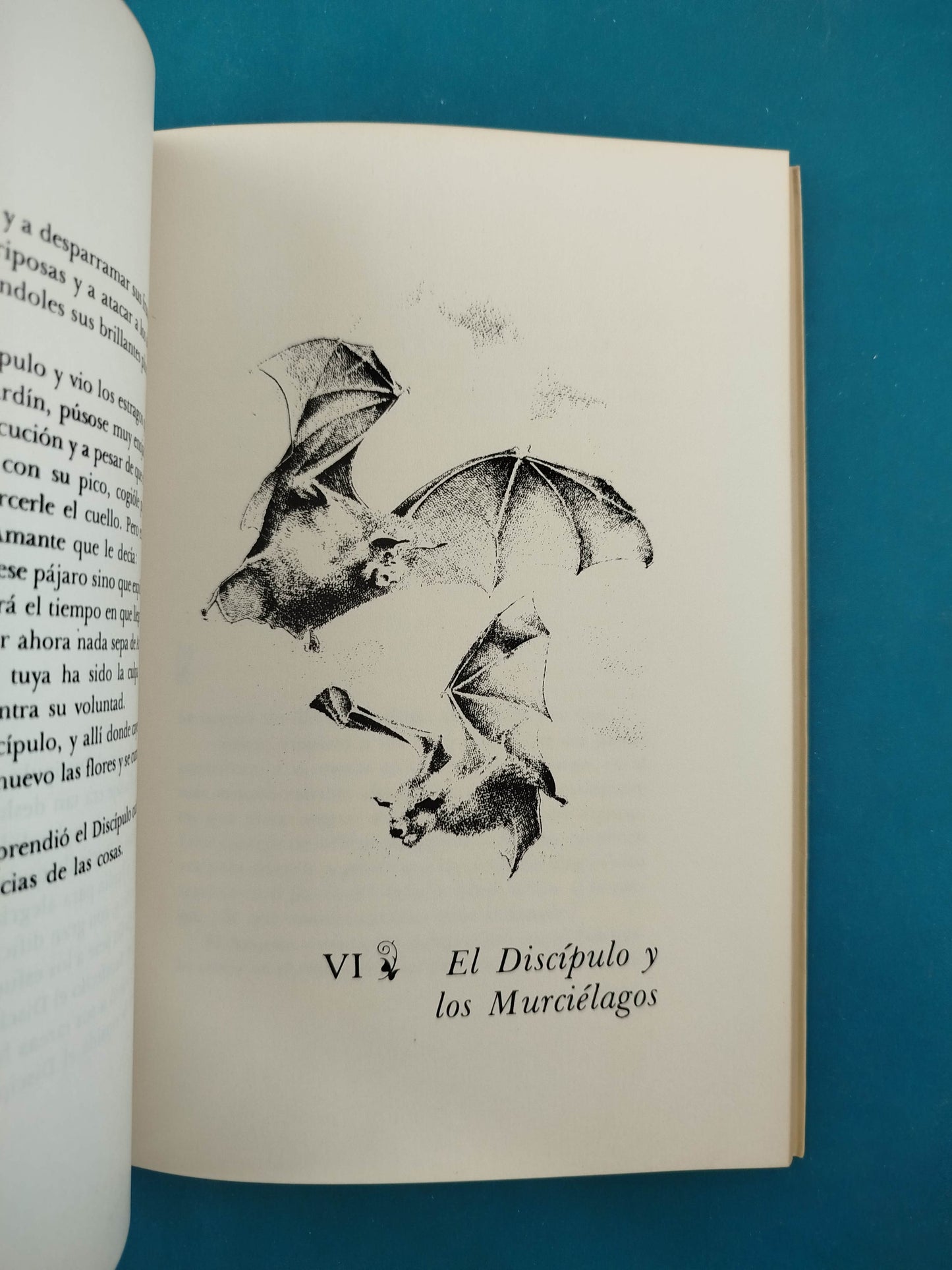 El jardín del amado