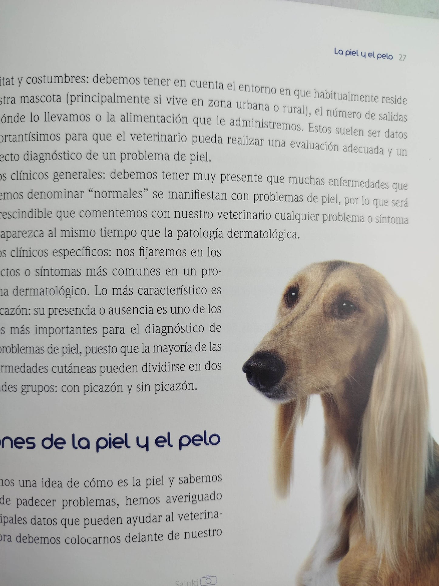 el encantador de perros 15 la higiene by Carlos Rodriguez