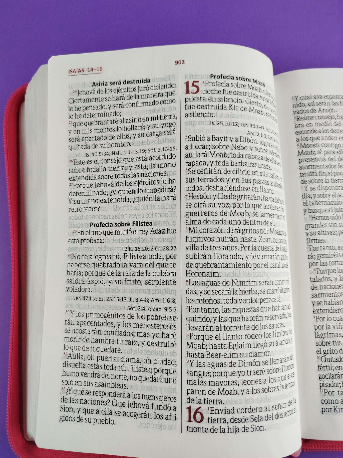Biblia Letra Gigante Fucsia Rosa Sin Indice