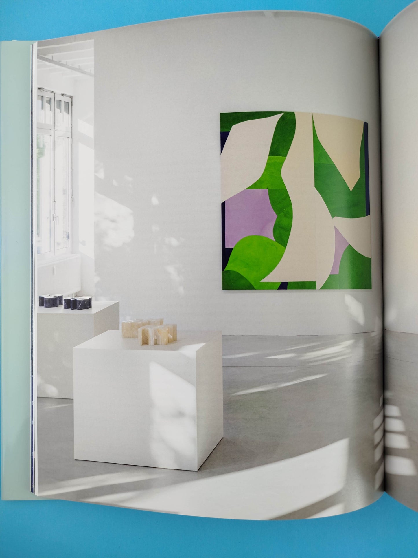 Sarah Crowner serpentear