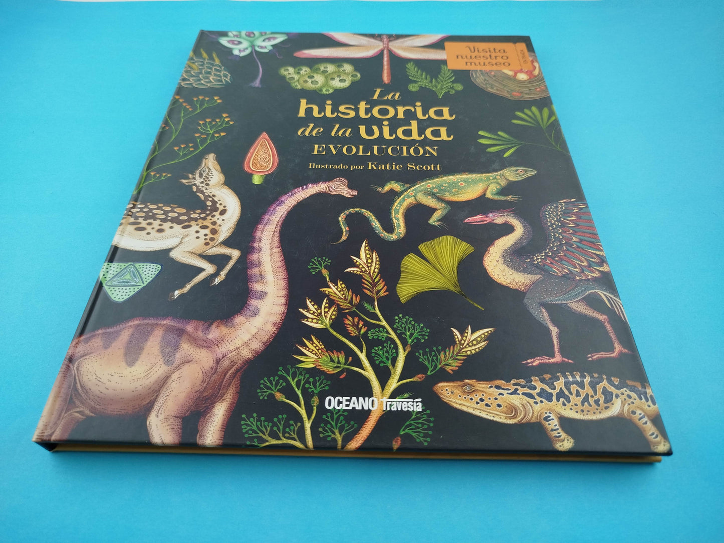 Historia de la vida: Evolución