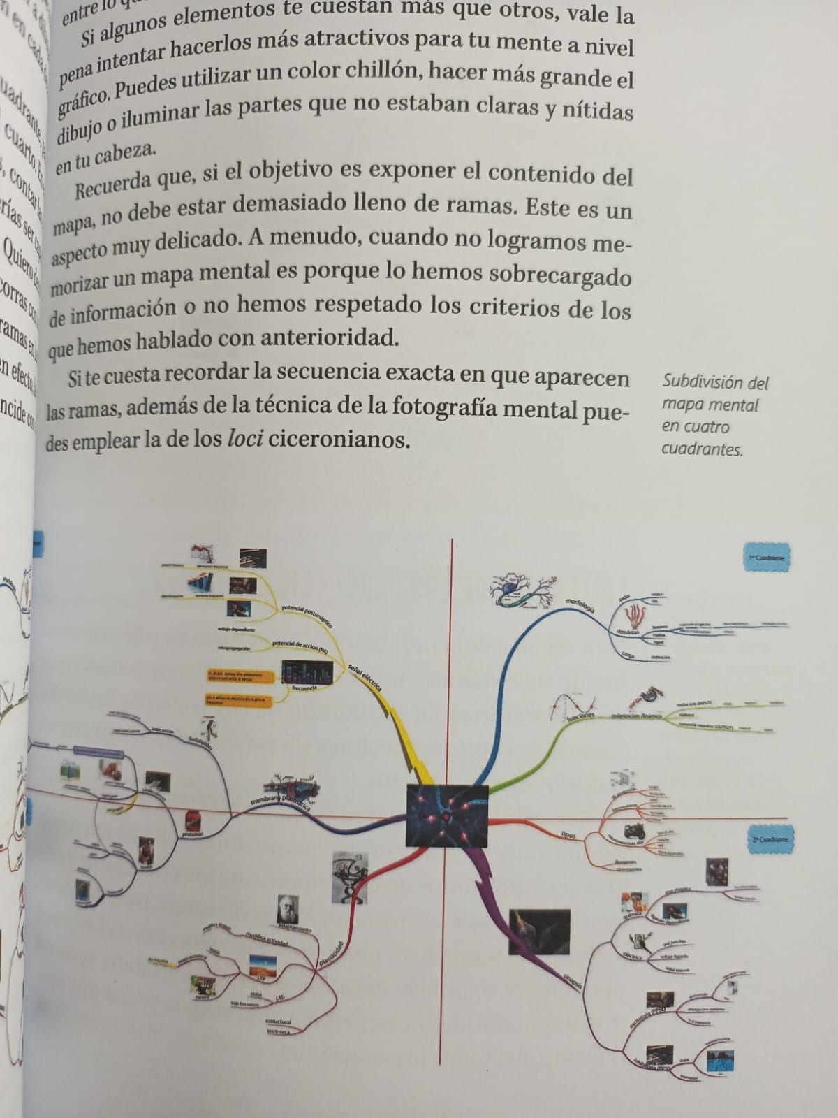 Acelera tu mente con los mapas mentales