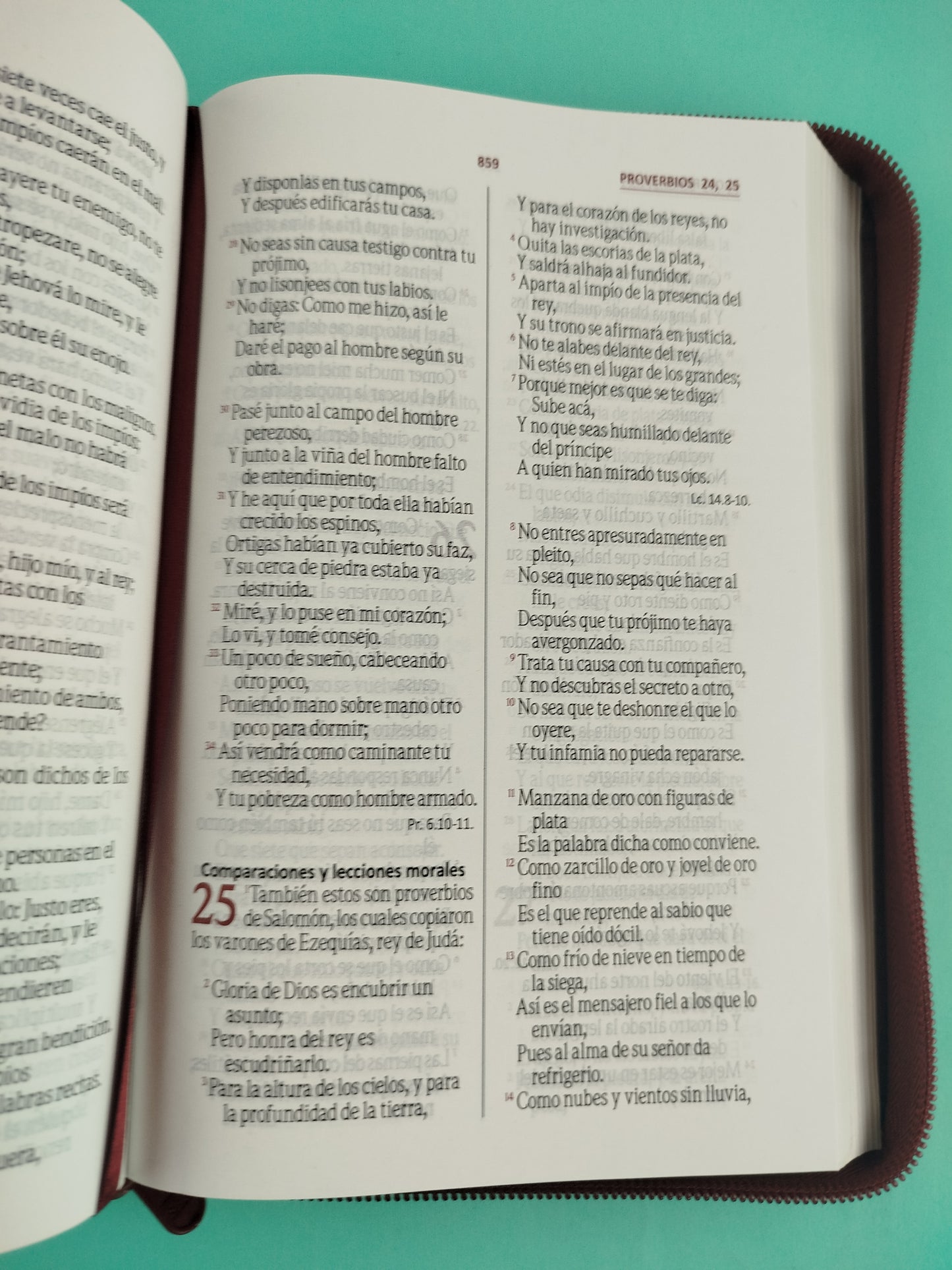 Biblia rvr 1960 vinotinto letra grande canto blanco