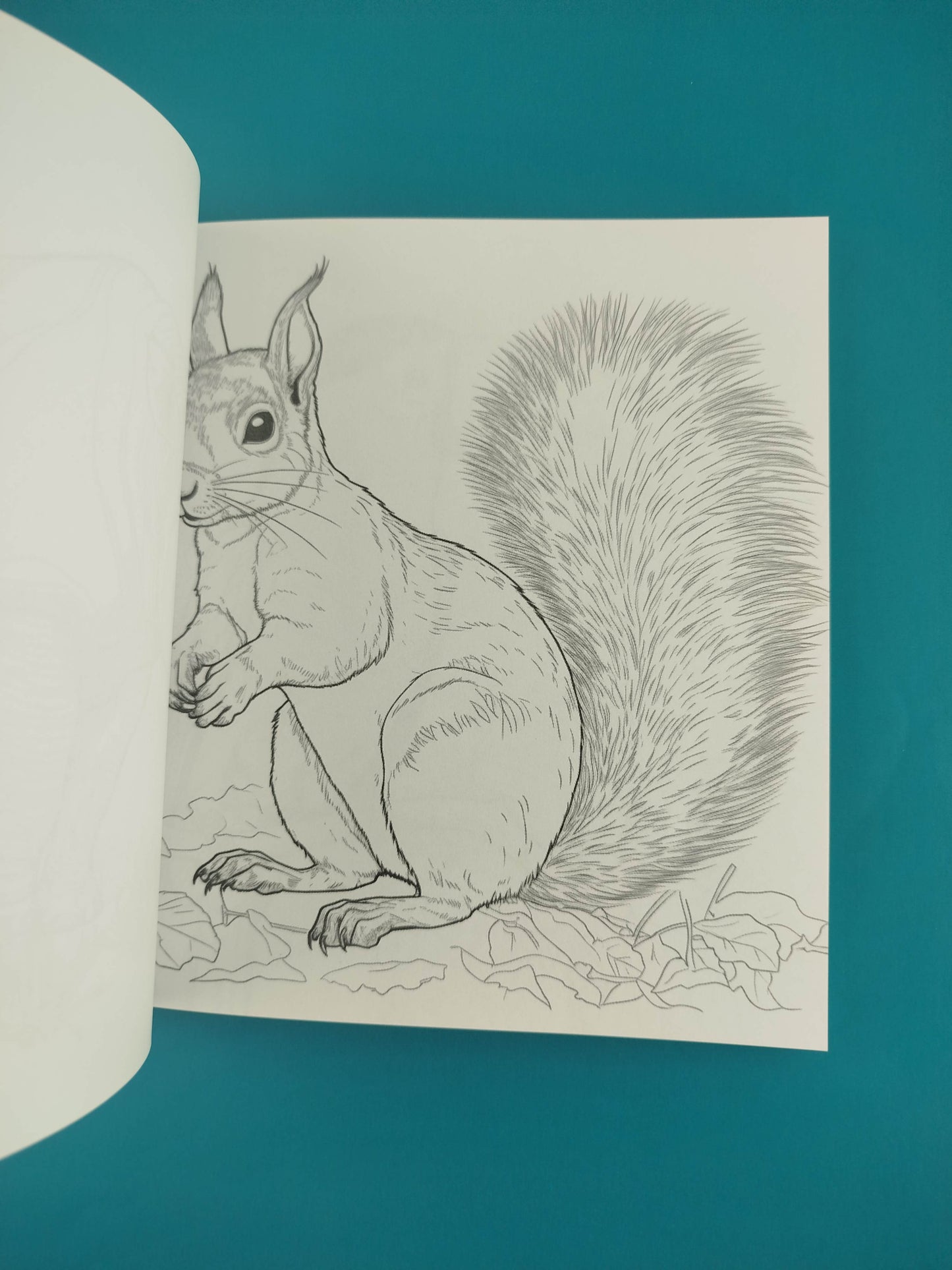 Animales: Un viaje de color a través de la diversidad global