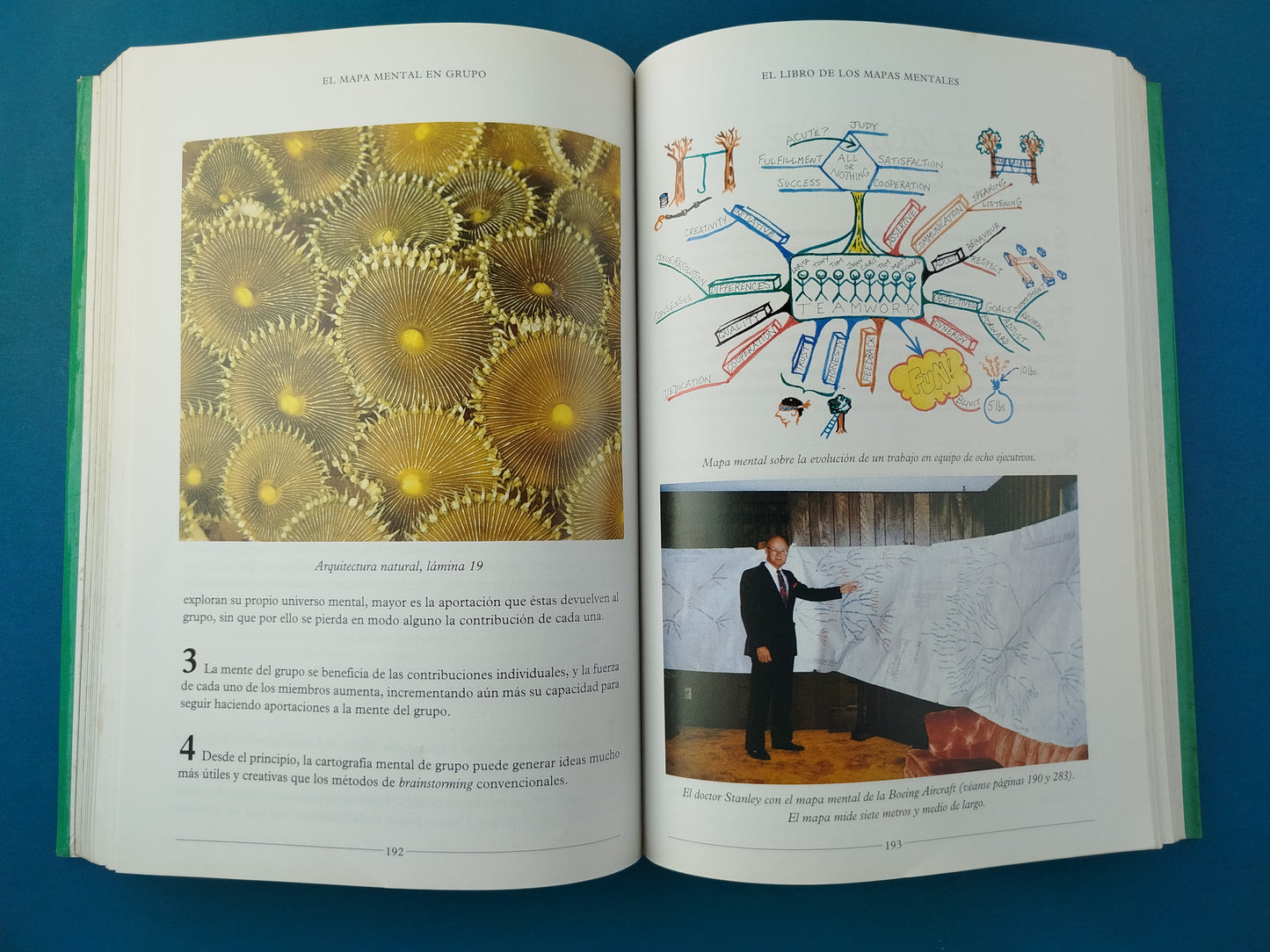 El Libro de los Mapas Mentales