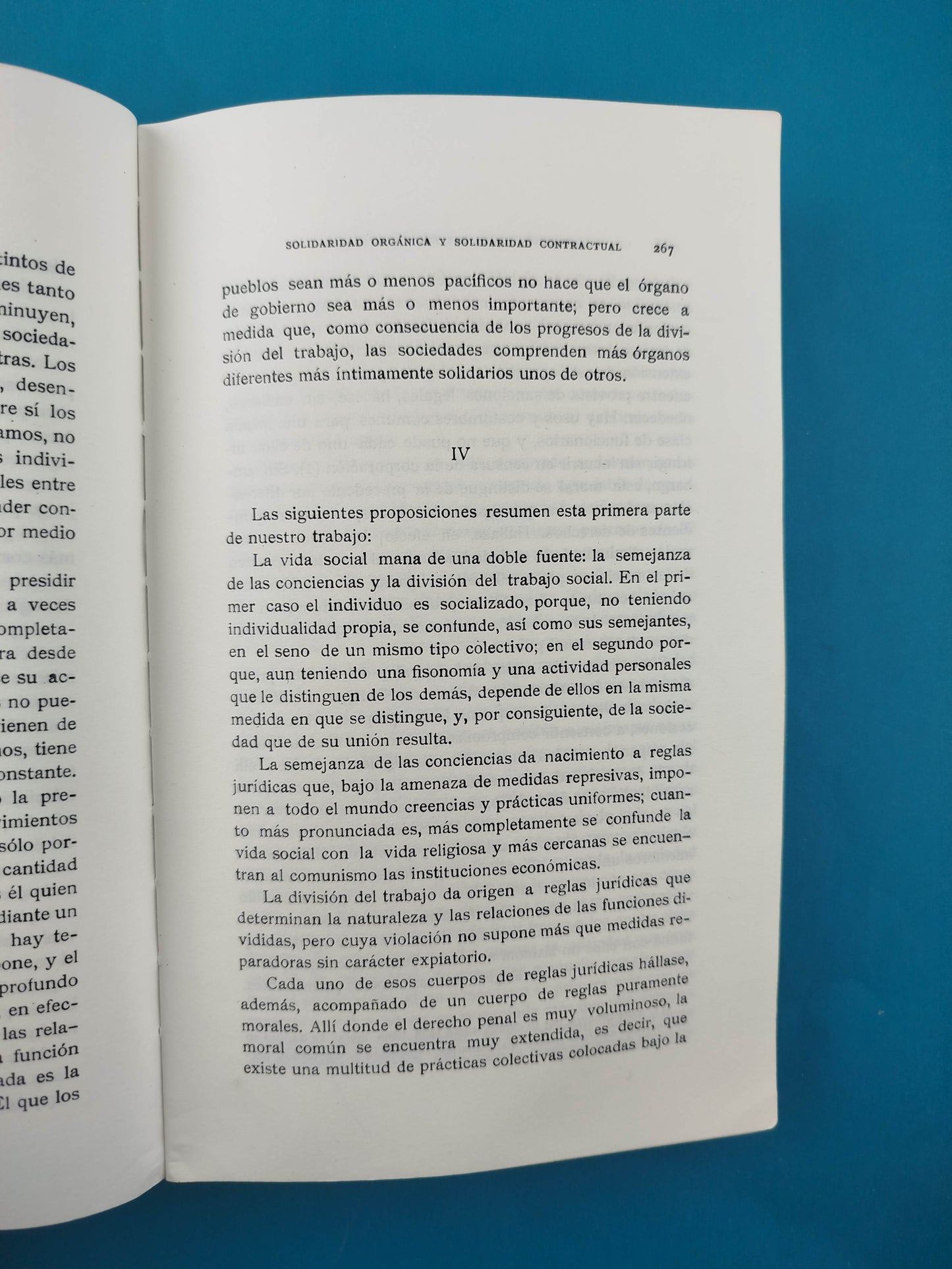 La división del trabajo social