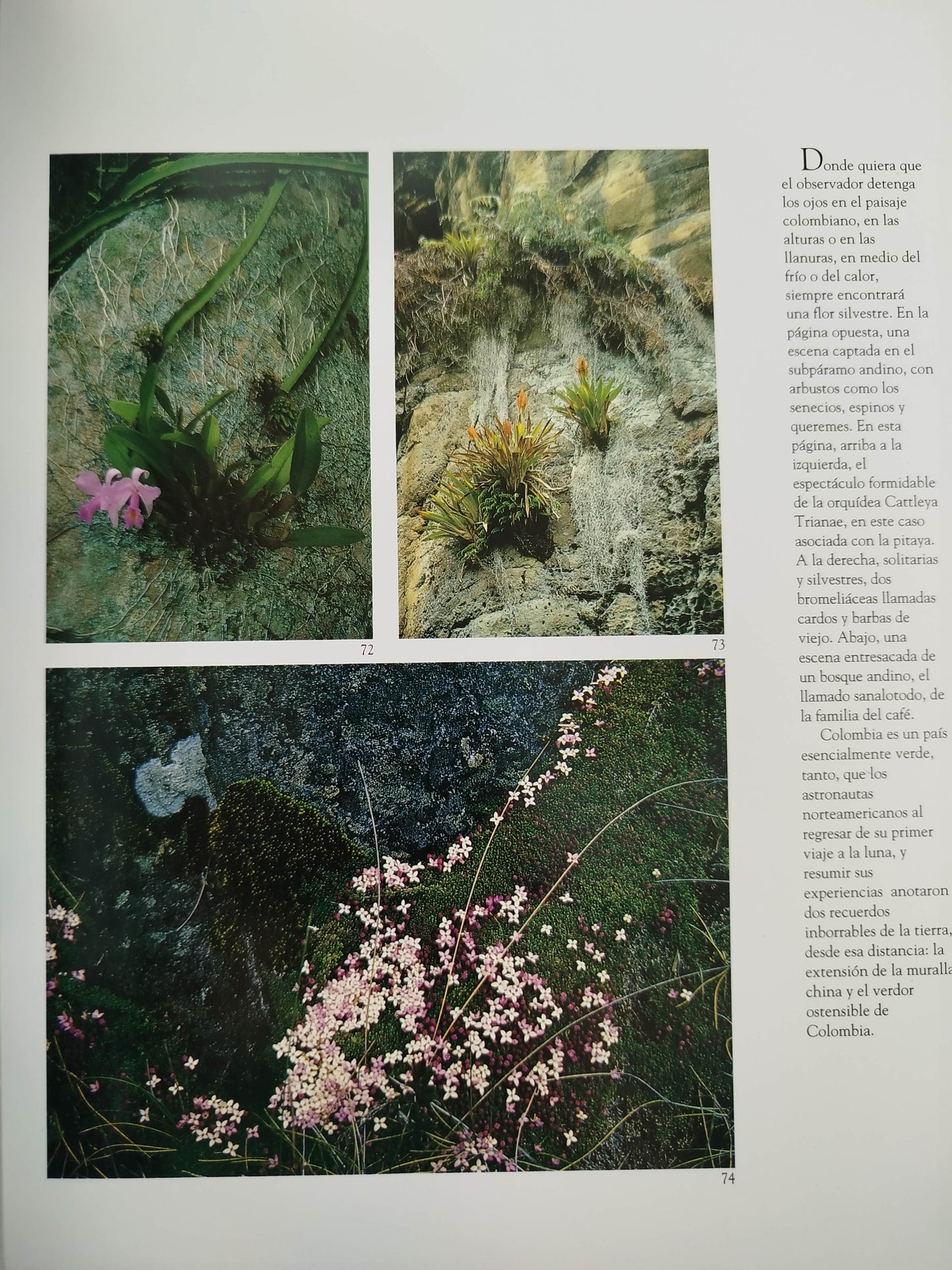 Colombia Tierra De Flores by Benjamin Villegas