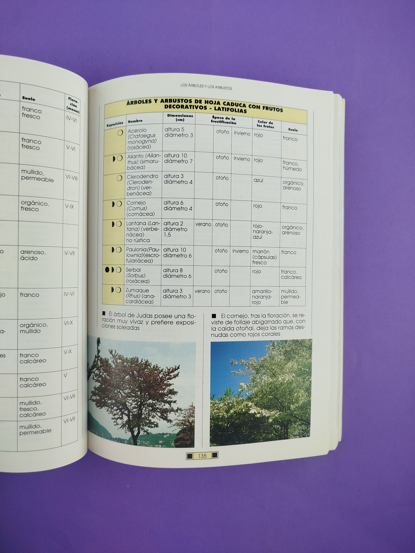 El Libro Del Jardín