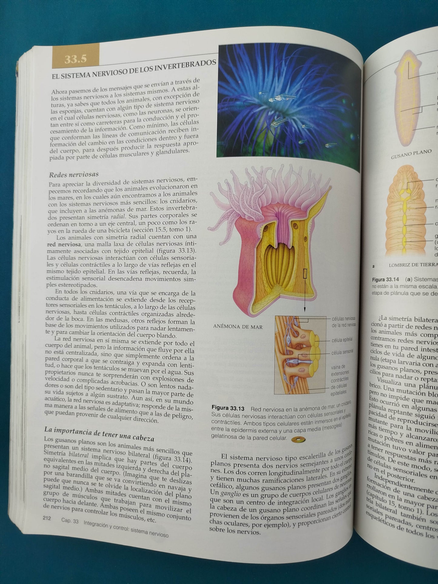 Biologia la unidad y diversidad de la vida volumen 2 décima edición