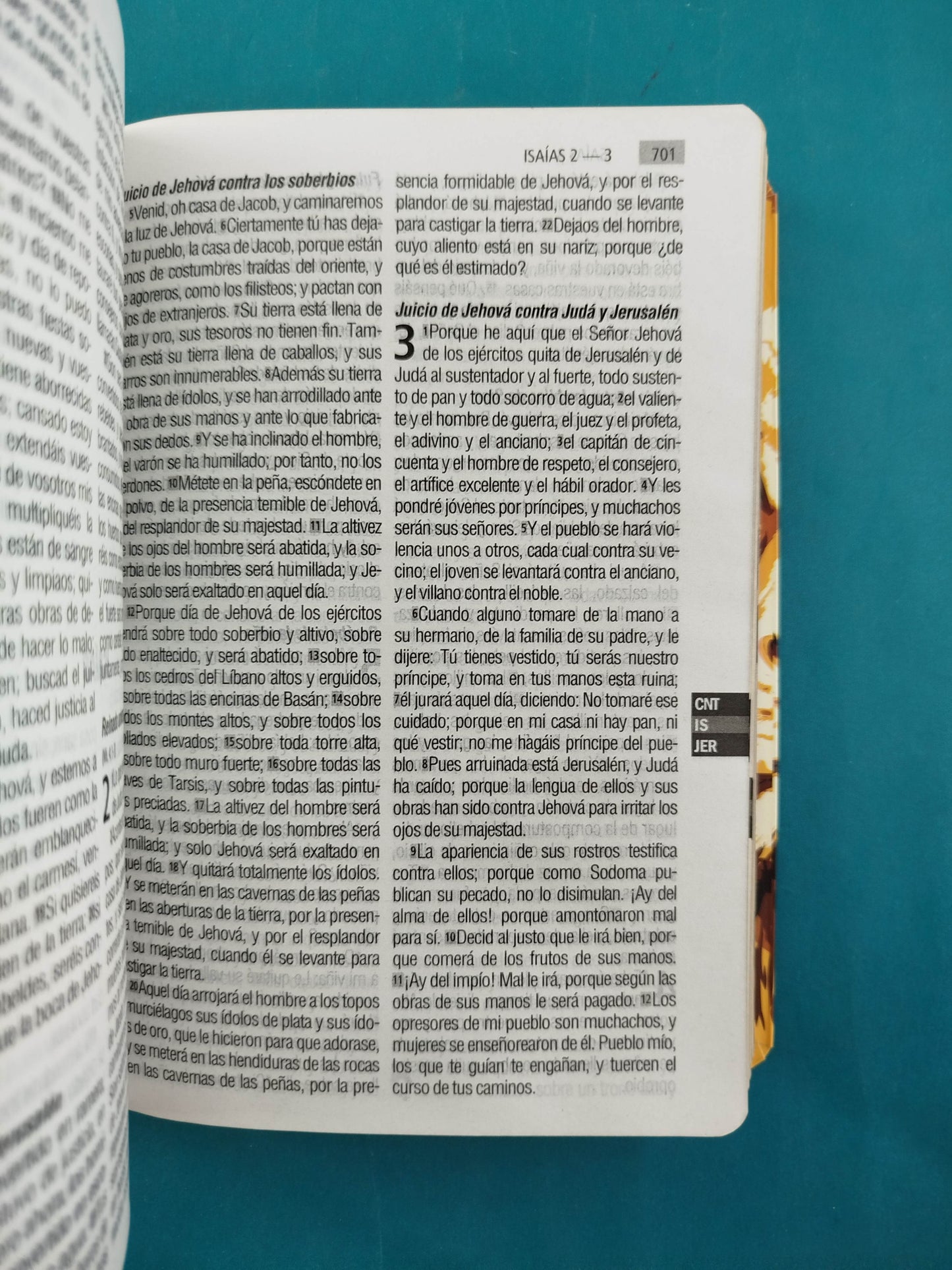 Biblia RVR 1960 Letra Grande leon, tapa flexible, borde dorado, sin cierre