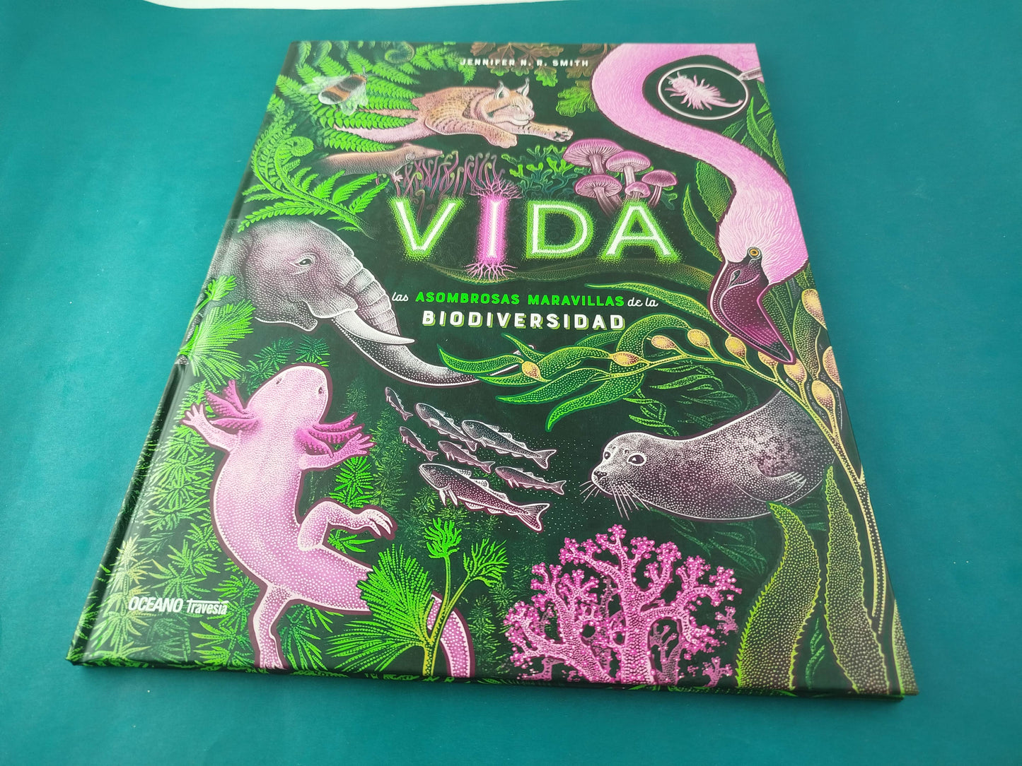Vida Las asombrosas maravillas de la biodiversidad