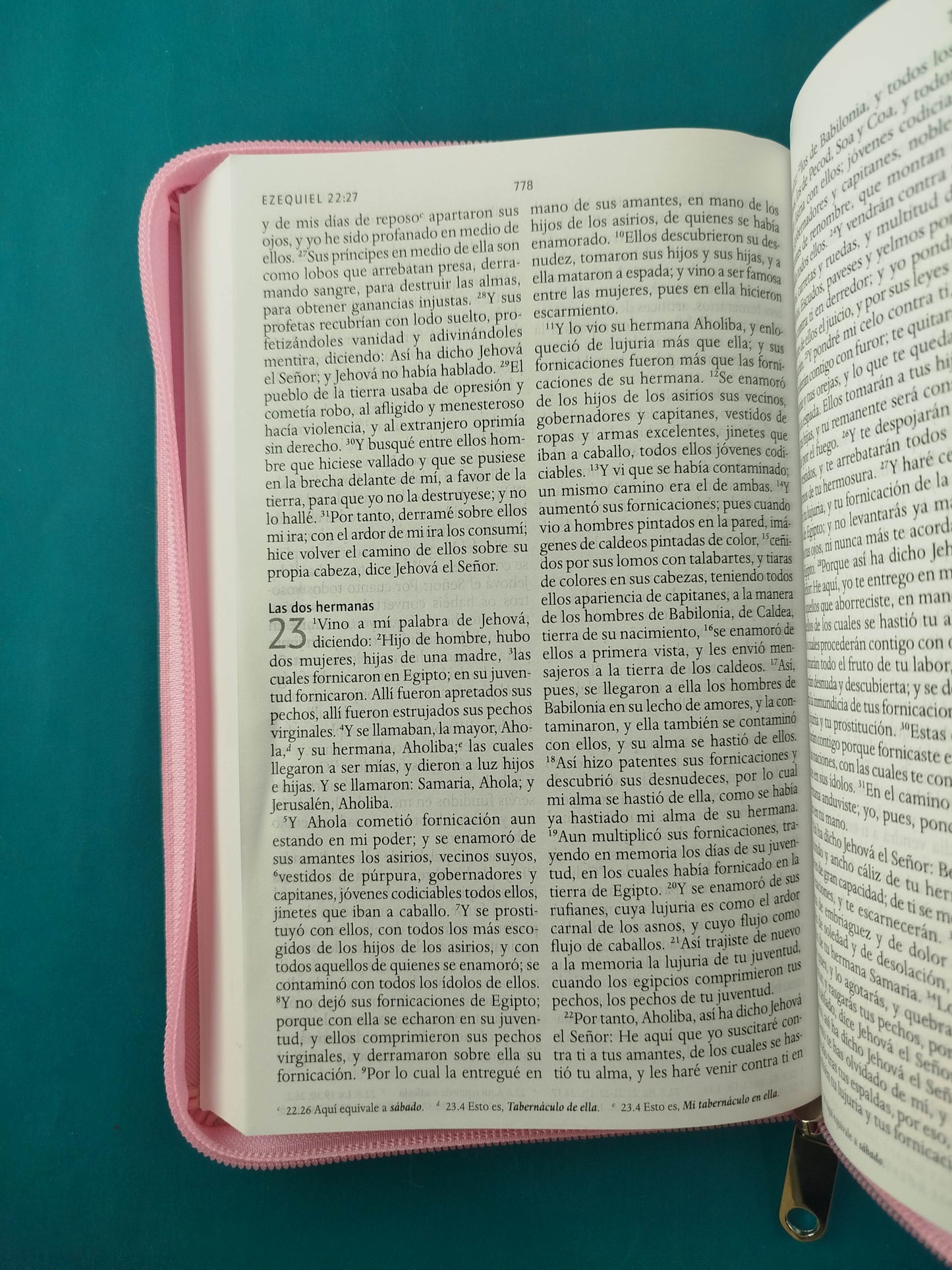 Biblia RVR 1960 Letra Grande Estuche Rosada