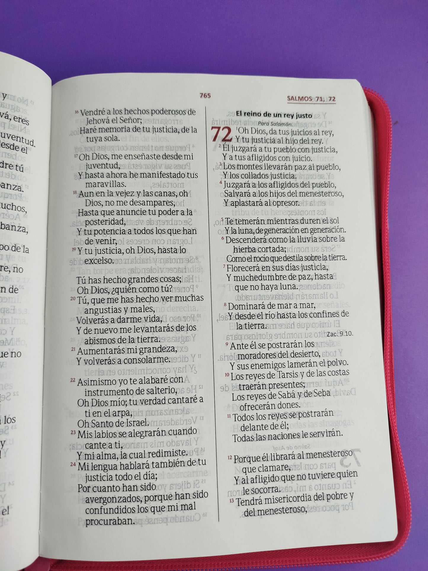 Biblia Letra Gigante Fucsia Rosa Sin Indice