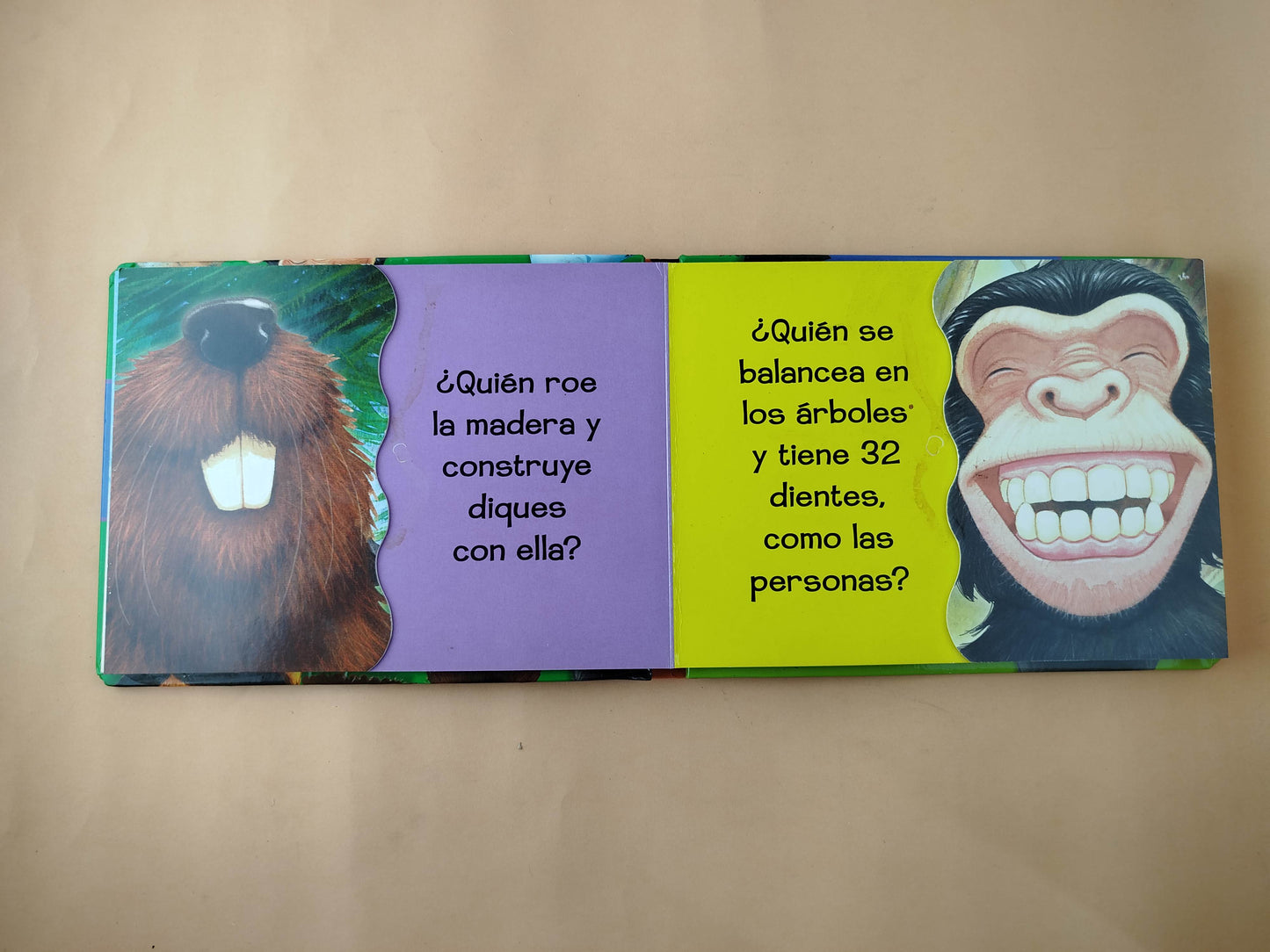 ¿De quién son estos dientes?