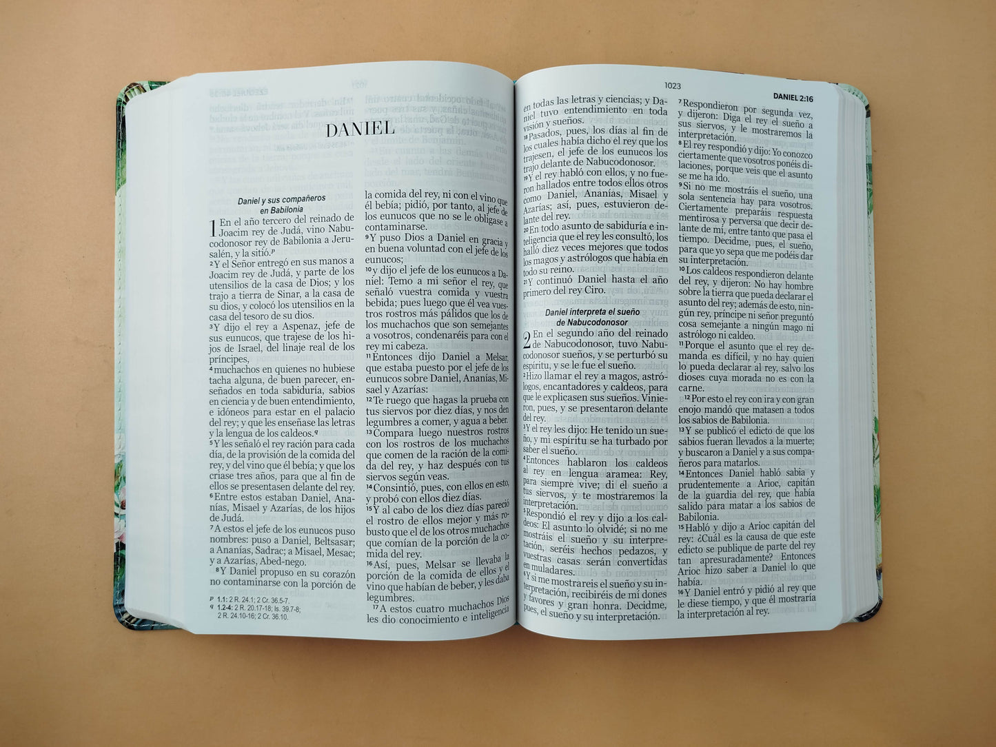 Biblia rvr letra grande vintage borde blanco