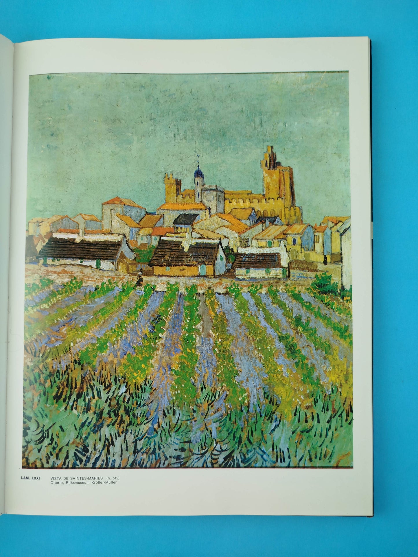 La obra pictórica completa de Van Gogh 2 tomos