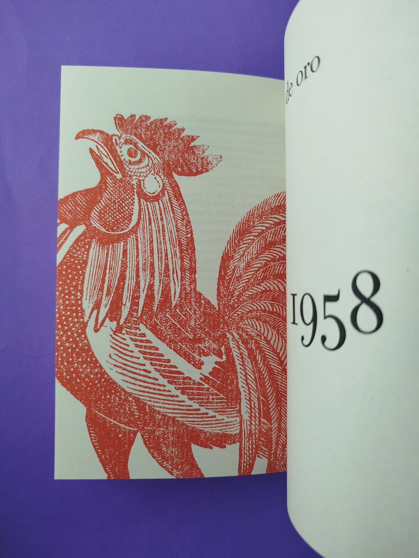 Obra Juan Rulfo 2a ed