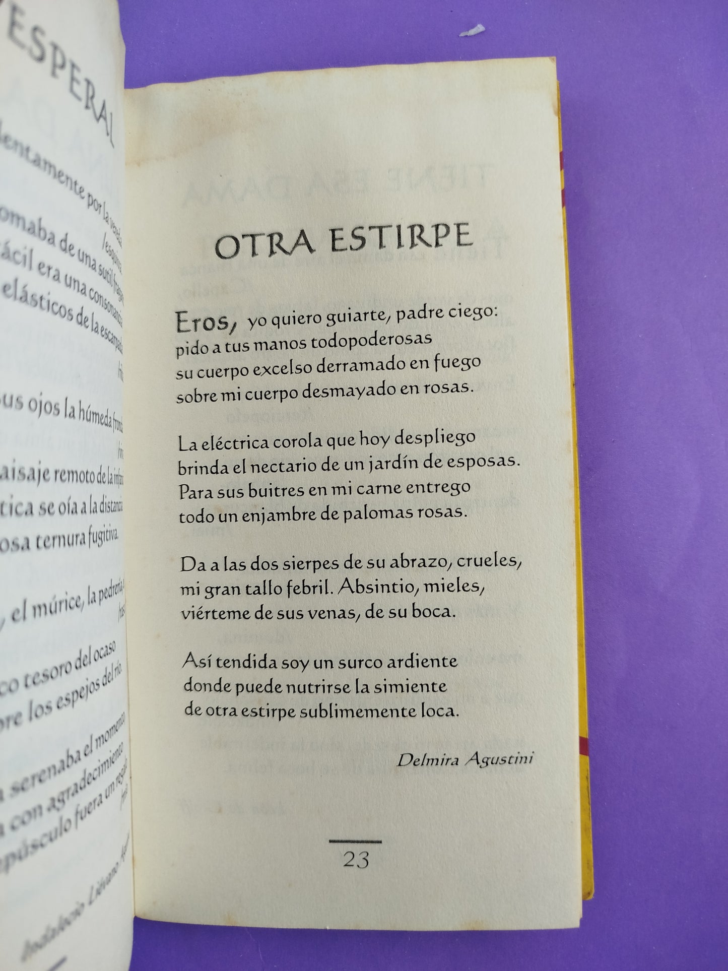Los perfectos sonetos
