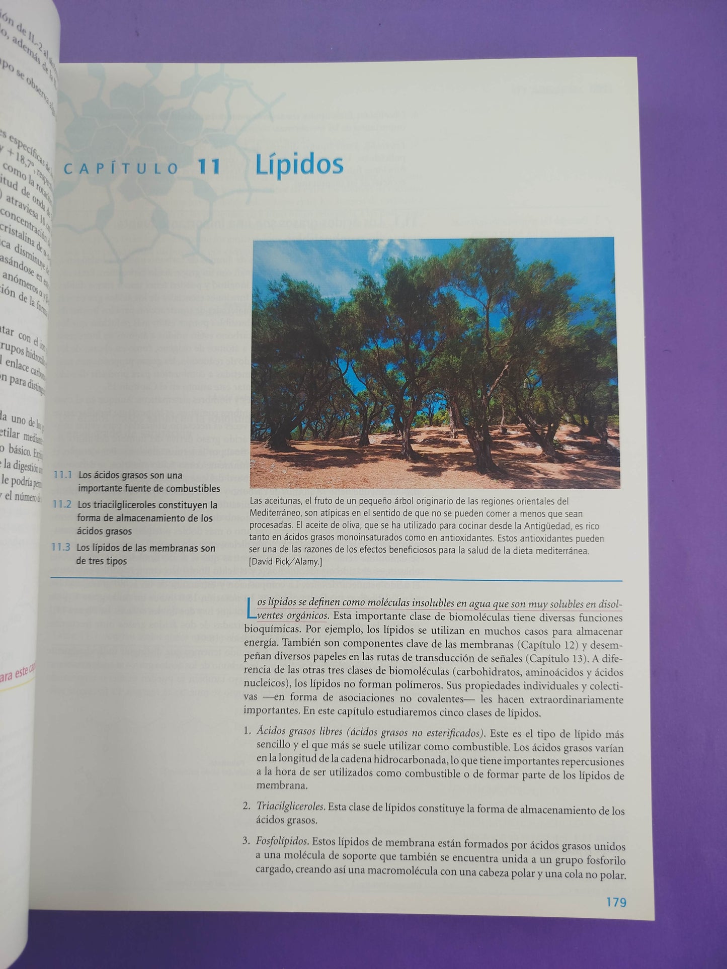 Bioquímica curso básico