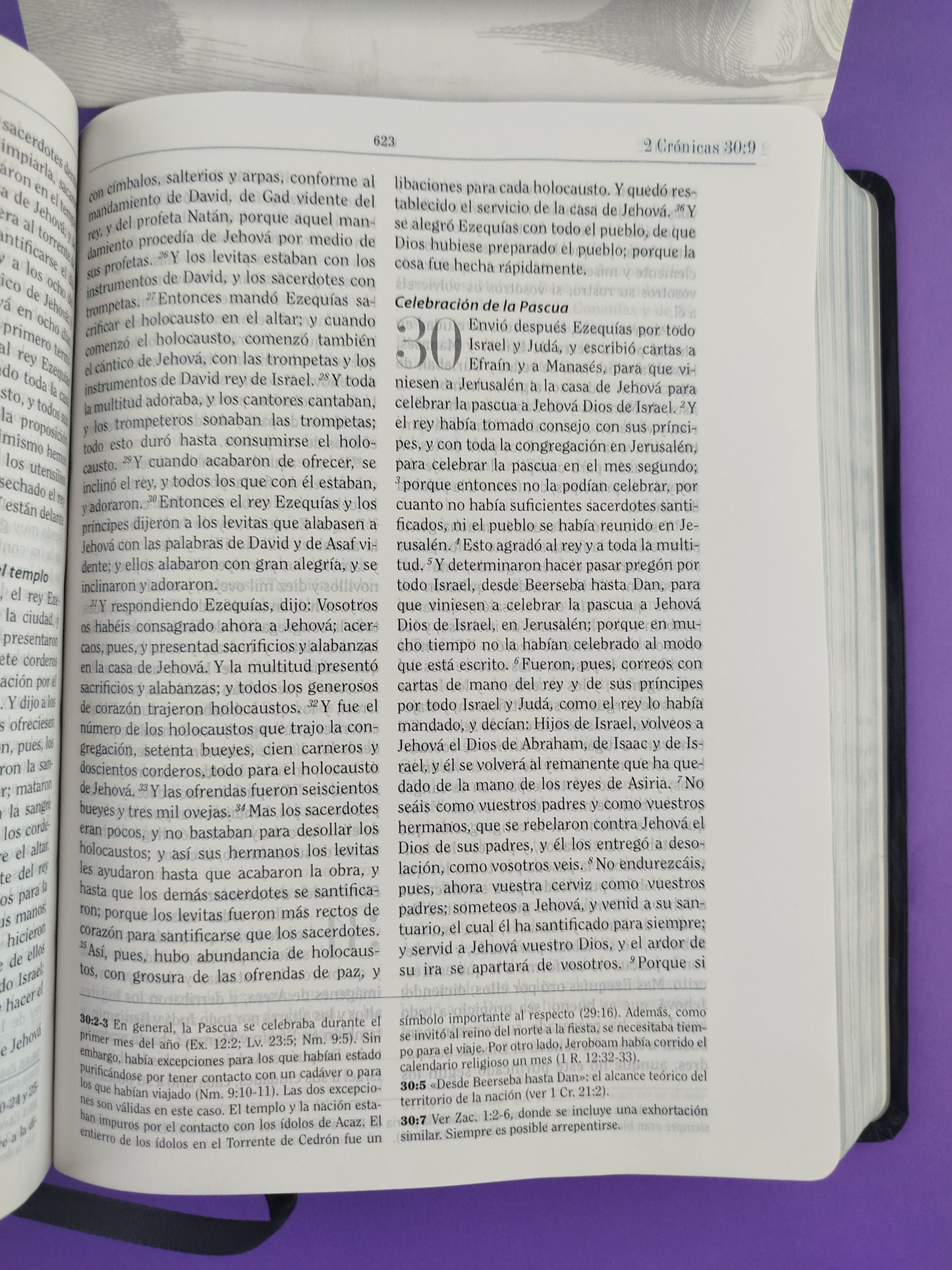 Biblia De Estudio Apologetica Edicion De Lujo