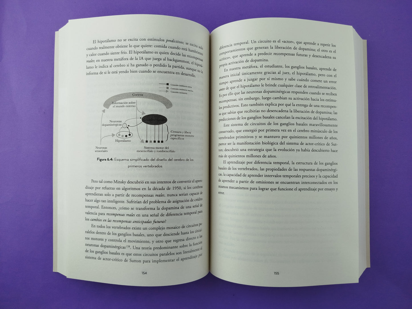 Una historia de la inteligencia