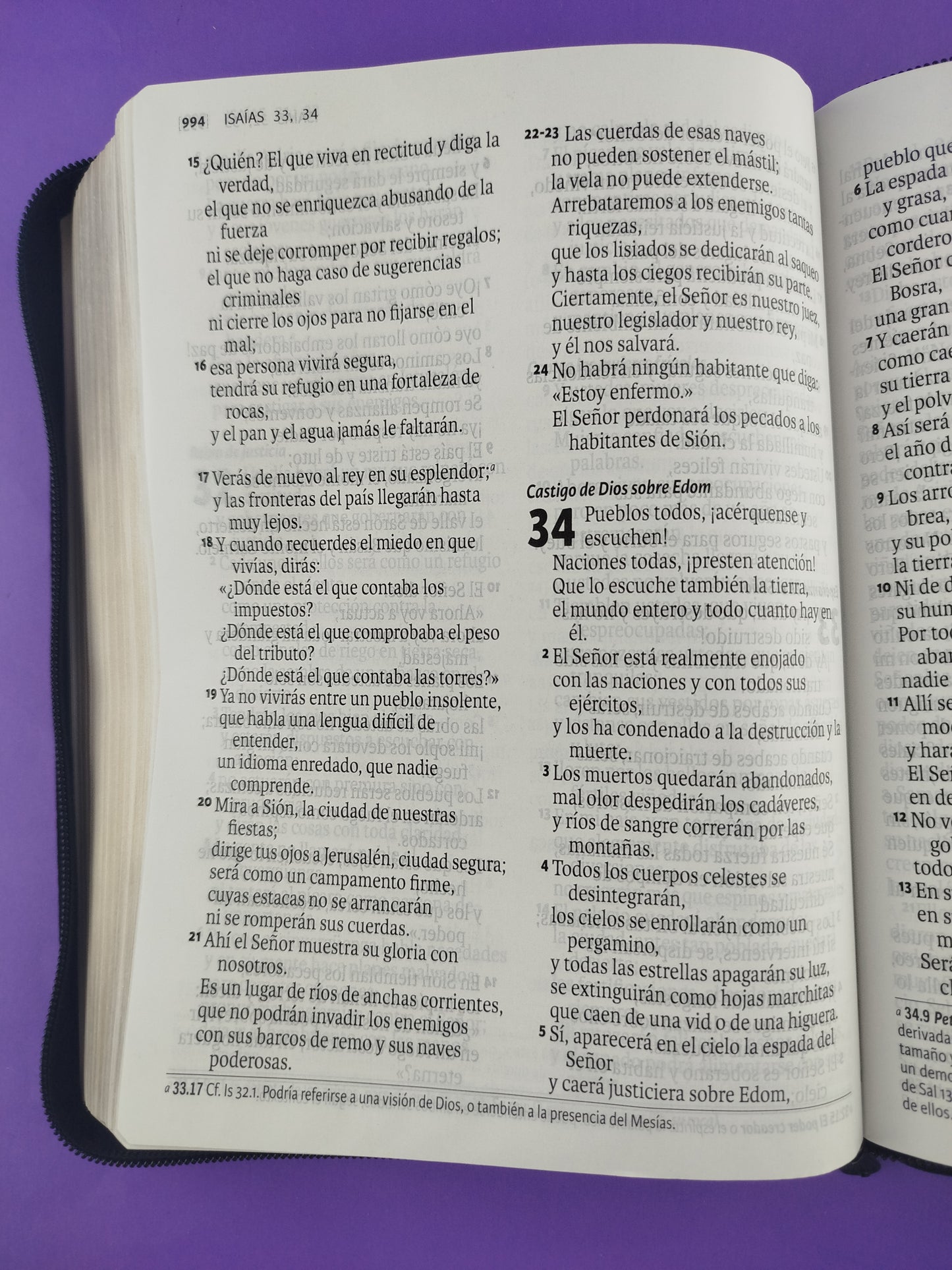 Biblia Dios Habla Hoy Letra Gigante Negro