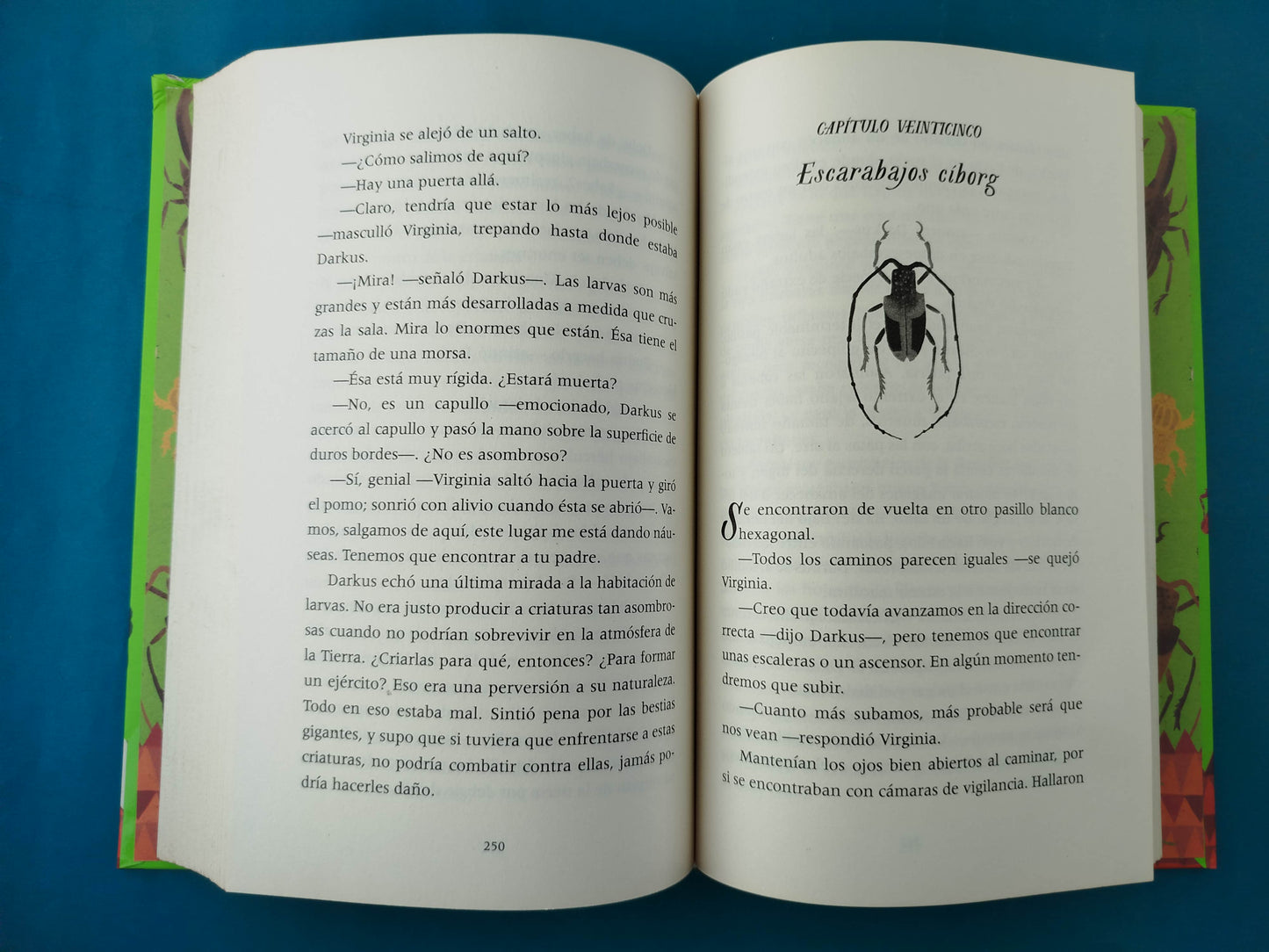 La batalla de los escarabajos