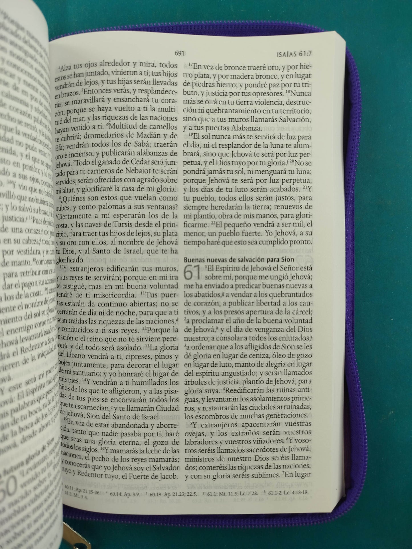 Biblia rvr 1960 letra grande estuche morado-flores lila vertical
