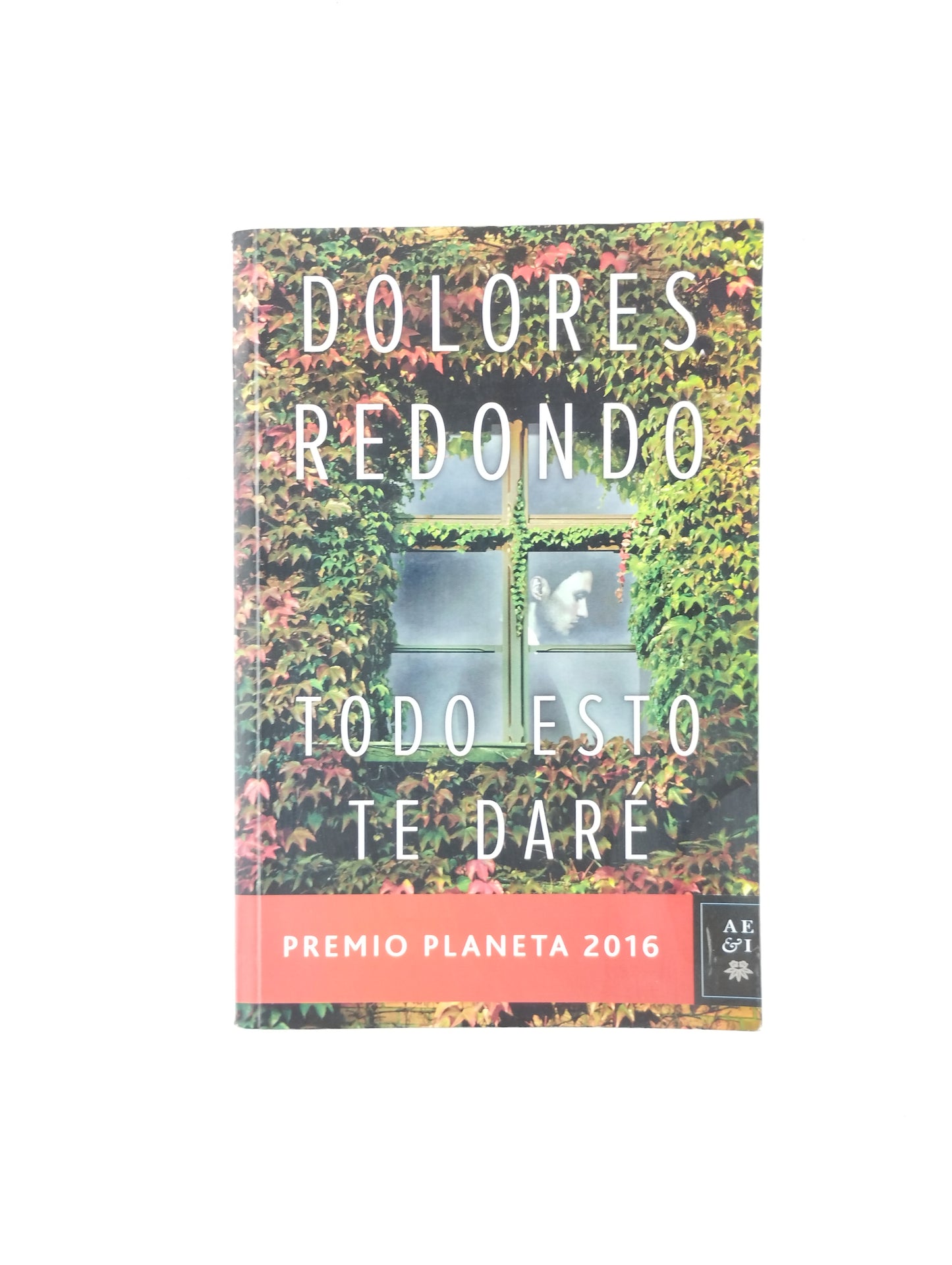 Todo Esto Te Dare by Dolores Redondo