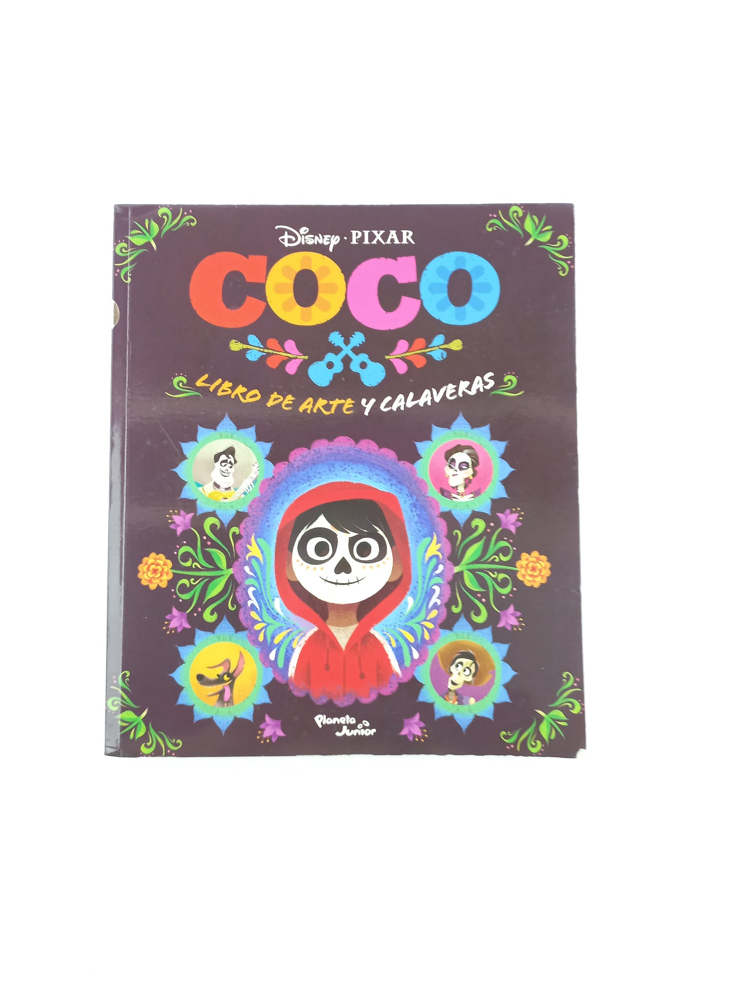 Coco Libro De Arte Y Calaveras