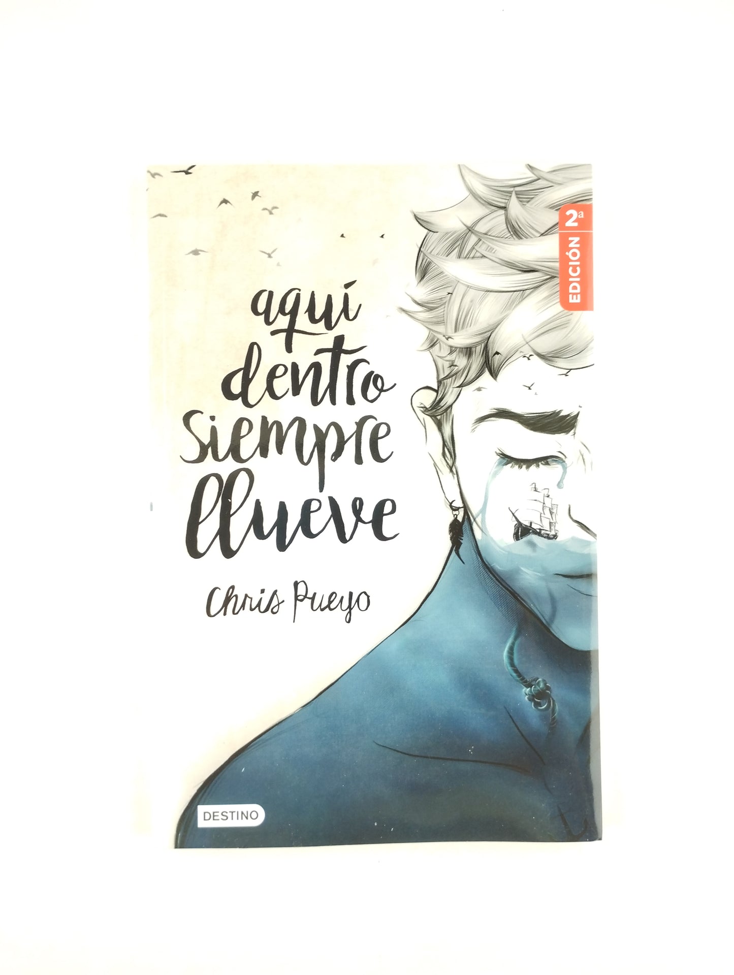 Aquí Dentro Siempre Llueve