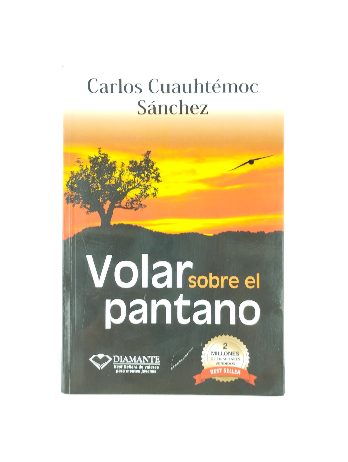 Volar Sobre El Pantano