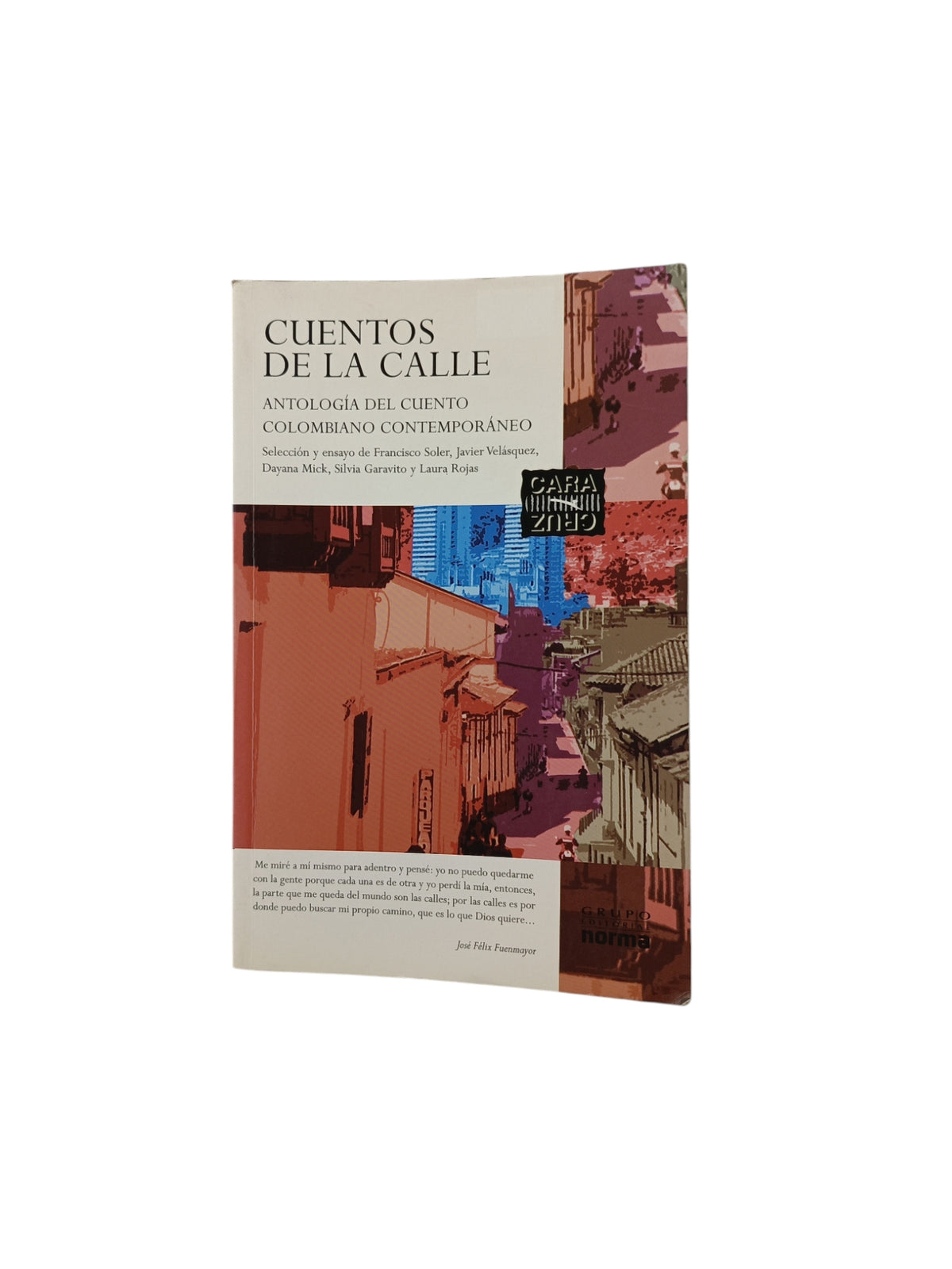 Cuentos de la calle: antología del cuento colombiano contemporáneo by Francisco Soler