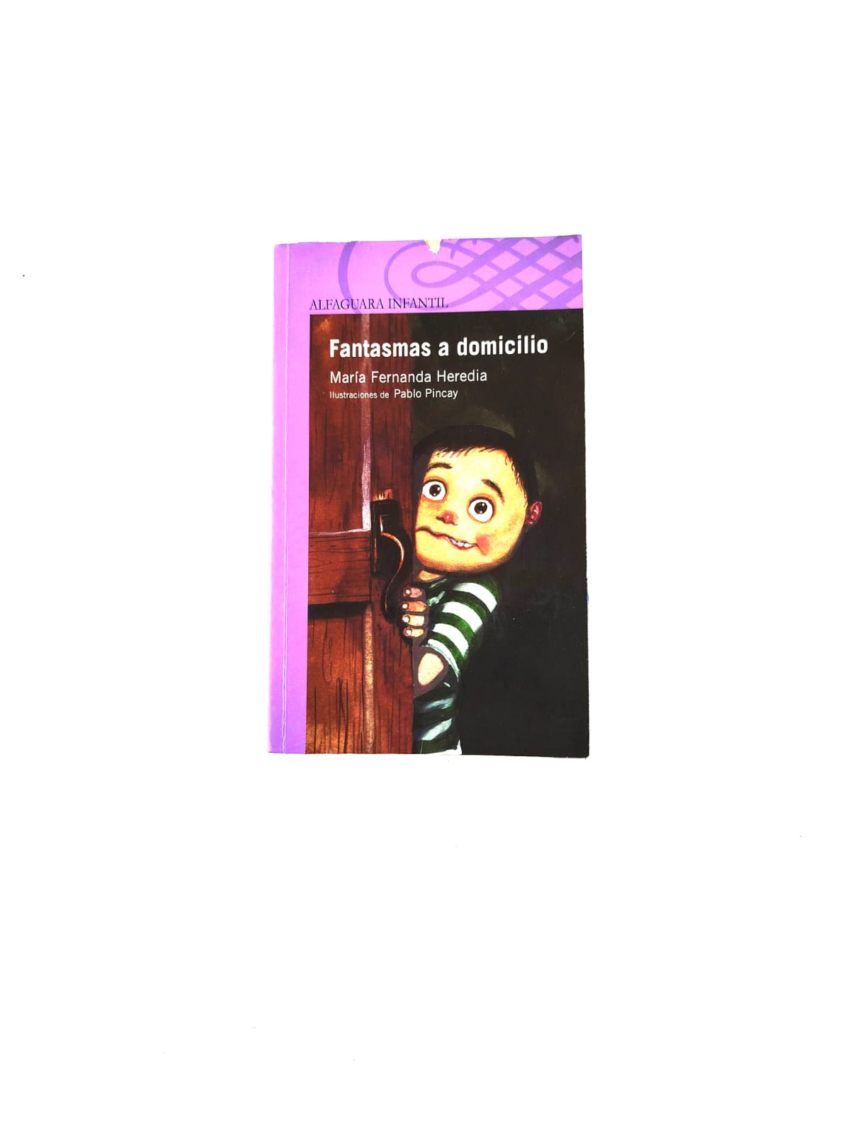 Fantasmas A Domicilio by María Fernanda Herendia