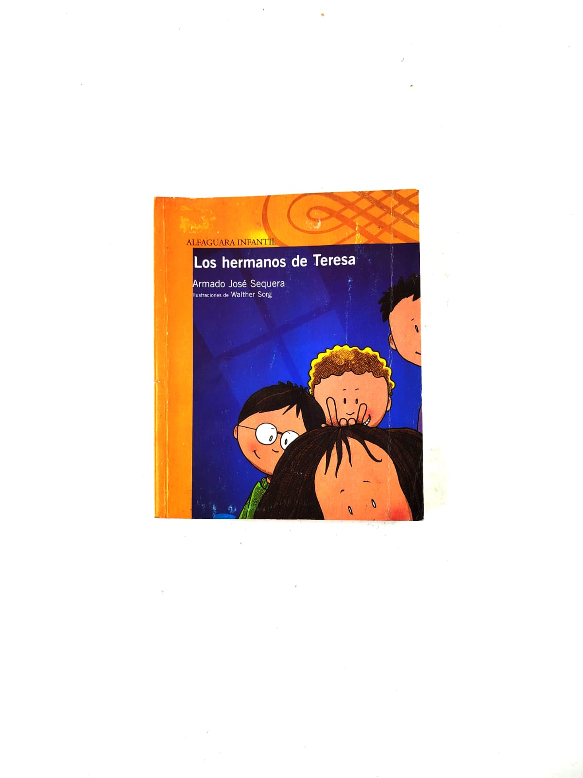 Los hermanos de Teresa