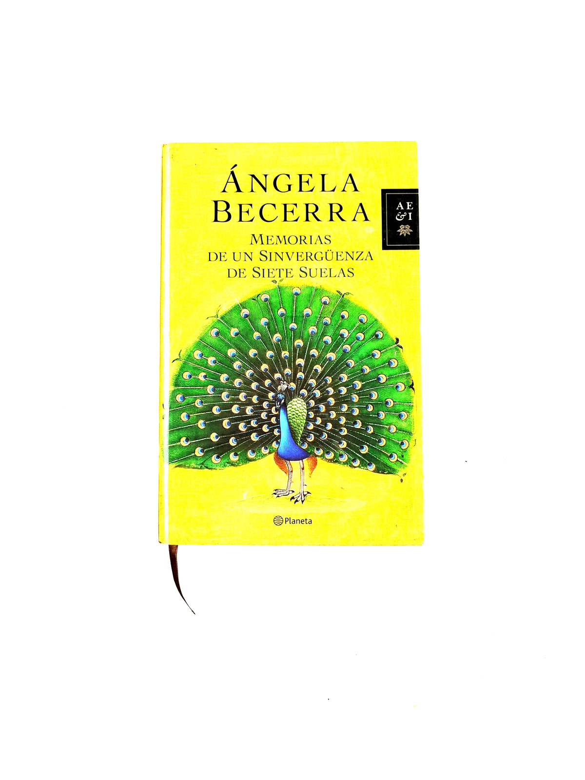 Memorias de un sinvergüenza de siete suelas by Ángela Becerra
