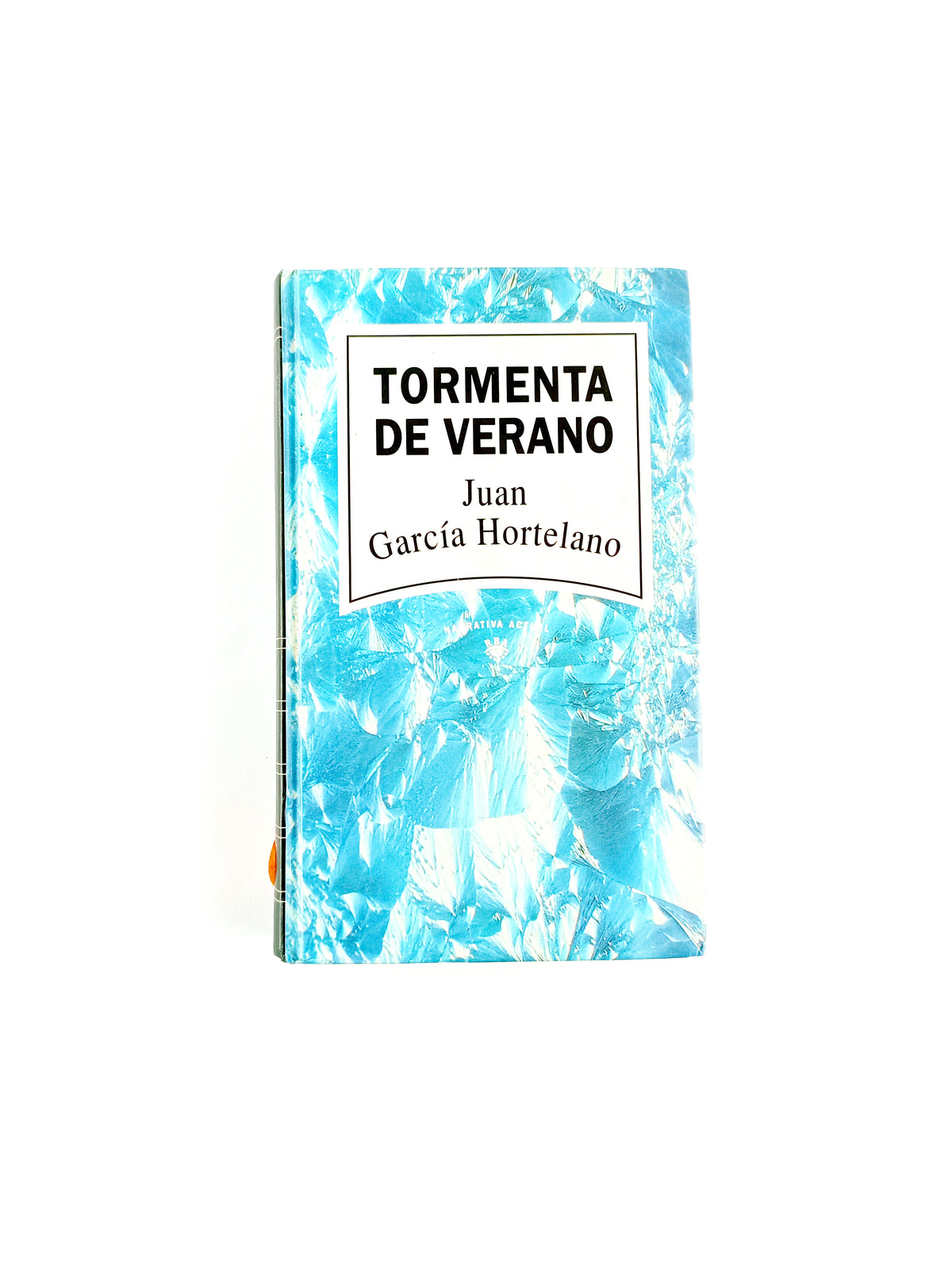 Tormenta de verano by Juan Garcia Hortelano